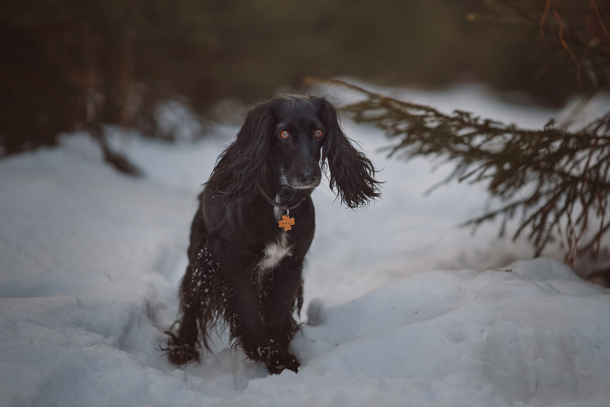 Yuliana Ra | Юлиана Ра