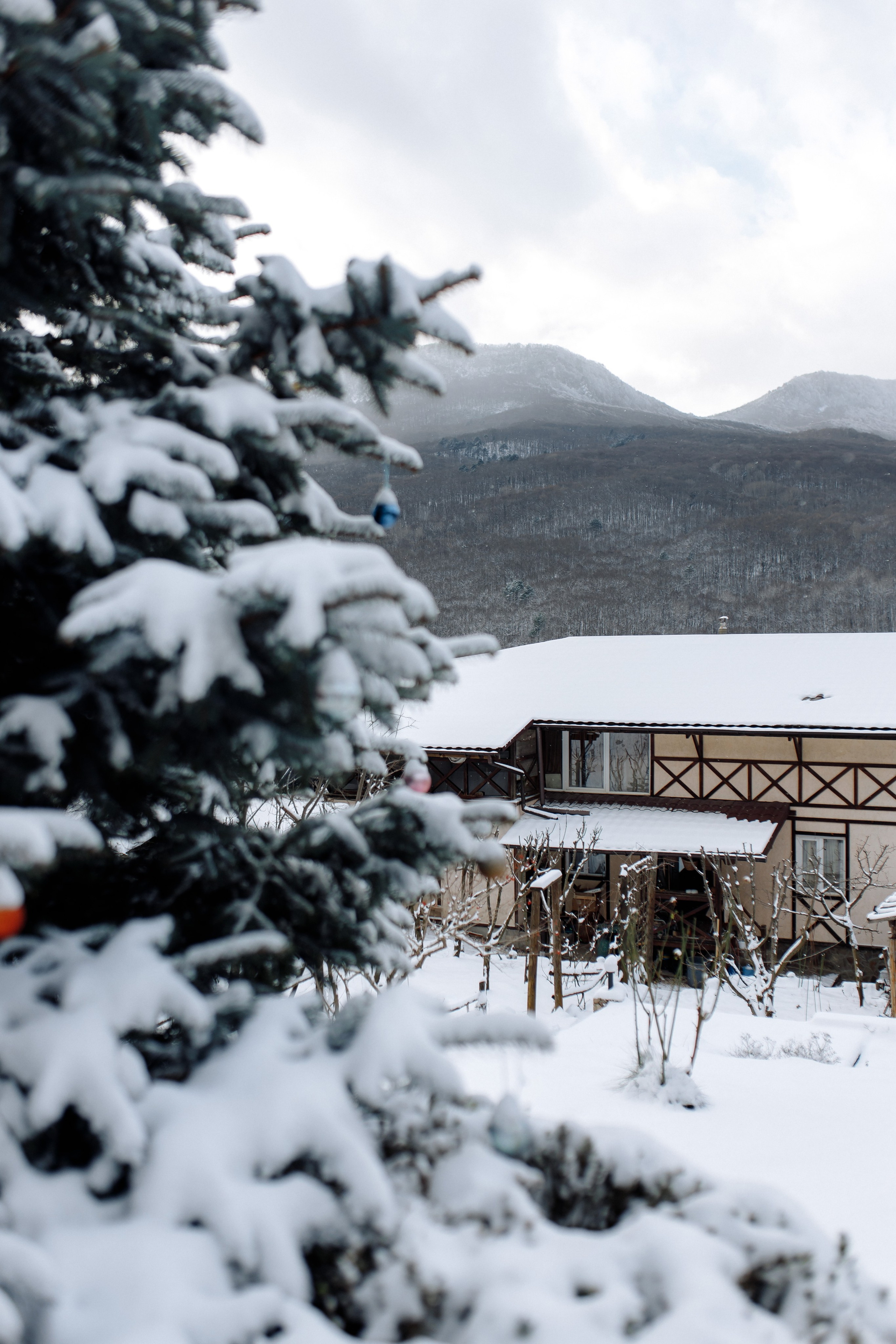 Friends. Свадебный фотограф в Севастополе и Крыму| Tanya Sher