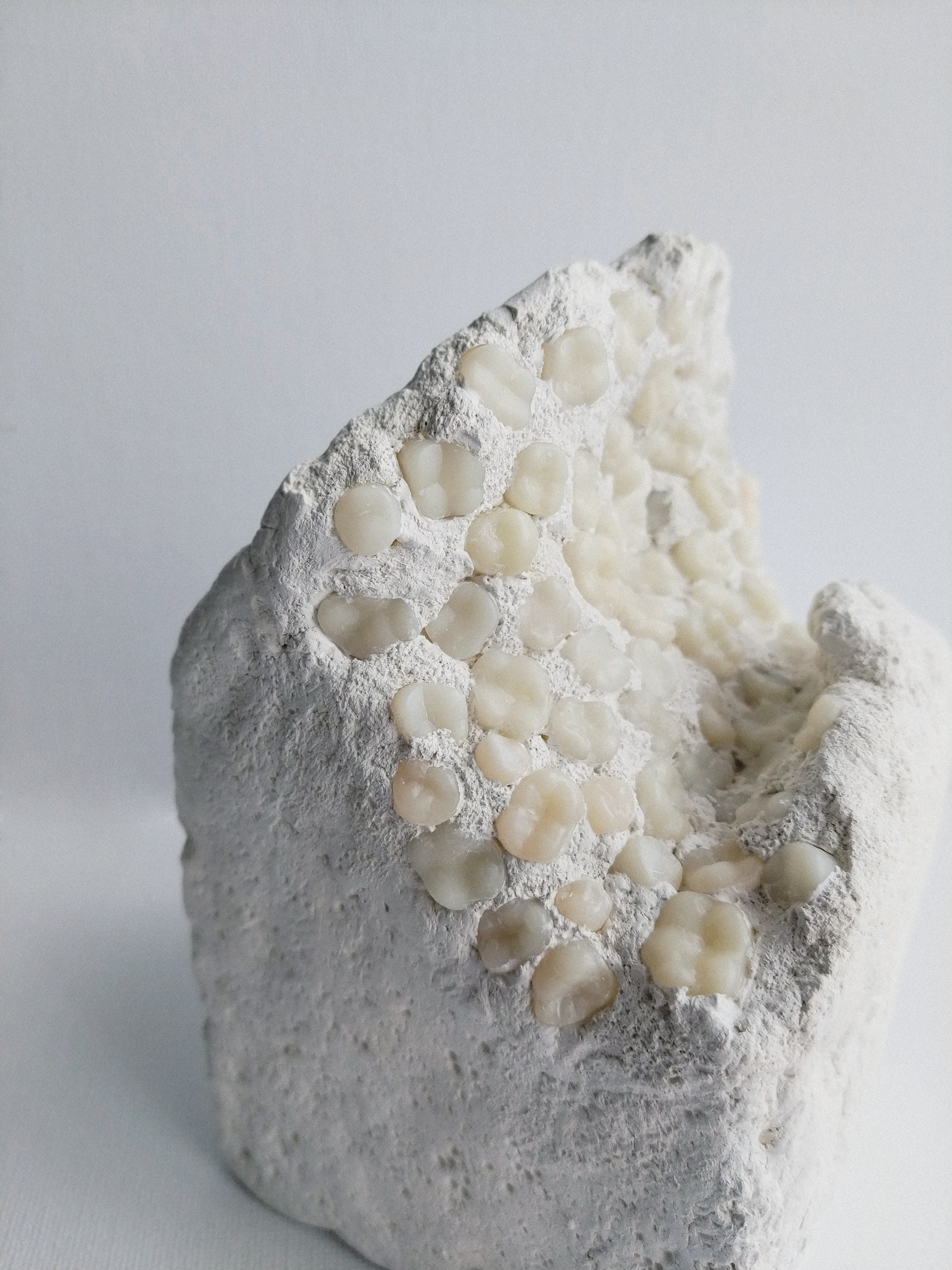 Я в домике. Ирина Петрова. Современный художник