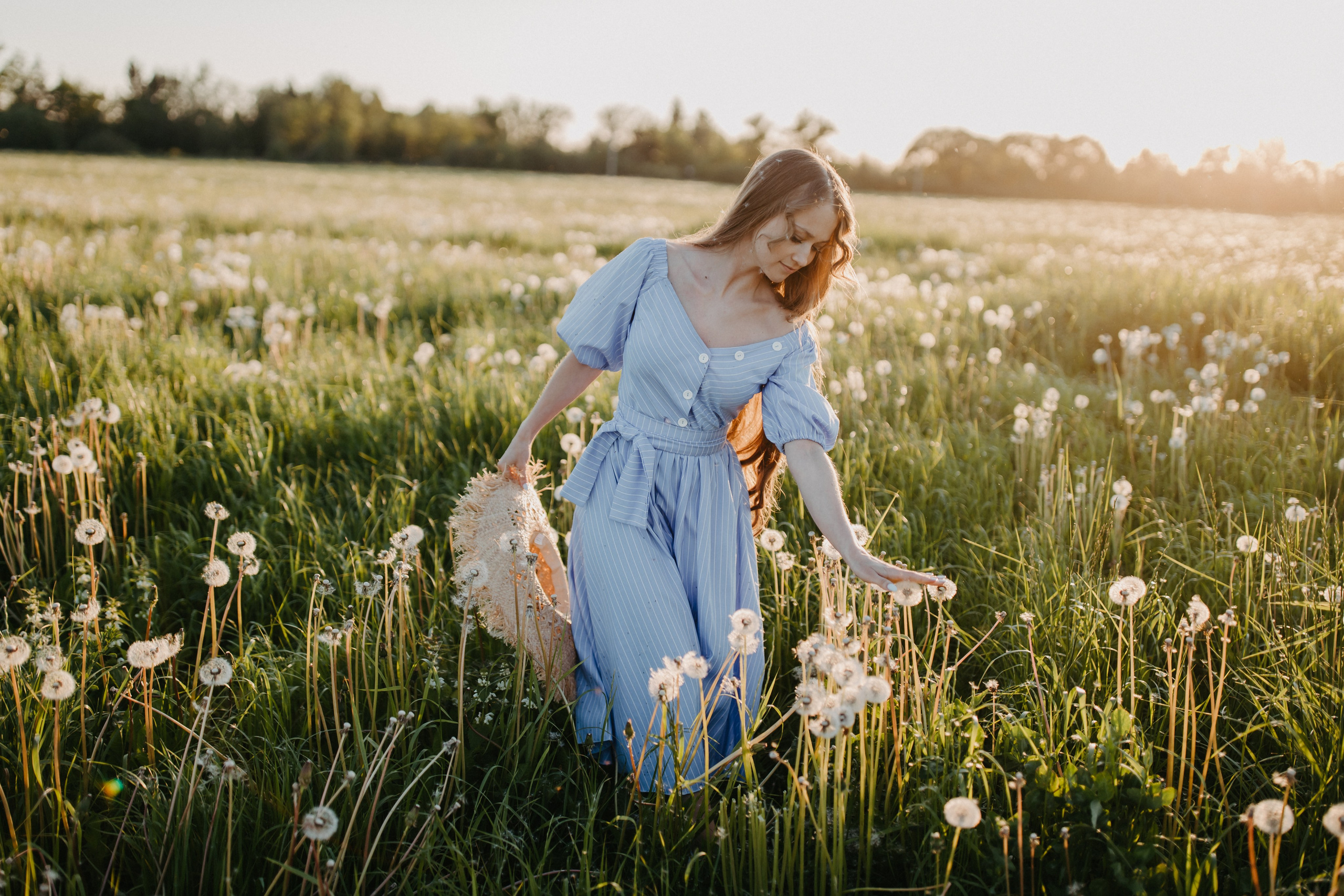 Одуванчиковое. Фотограф в Санкт-Петербурге Знаменская Ирина
