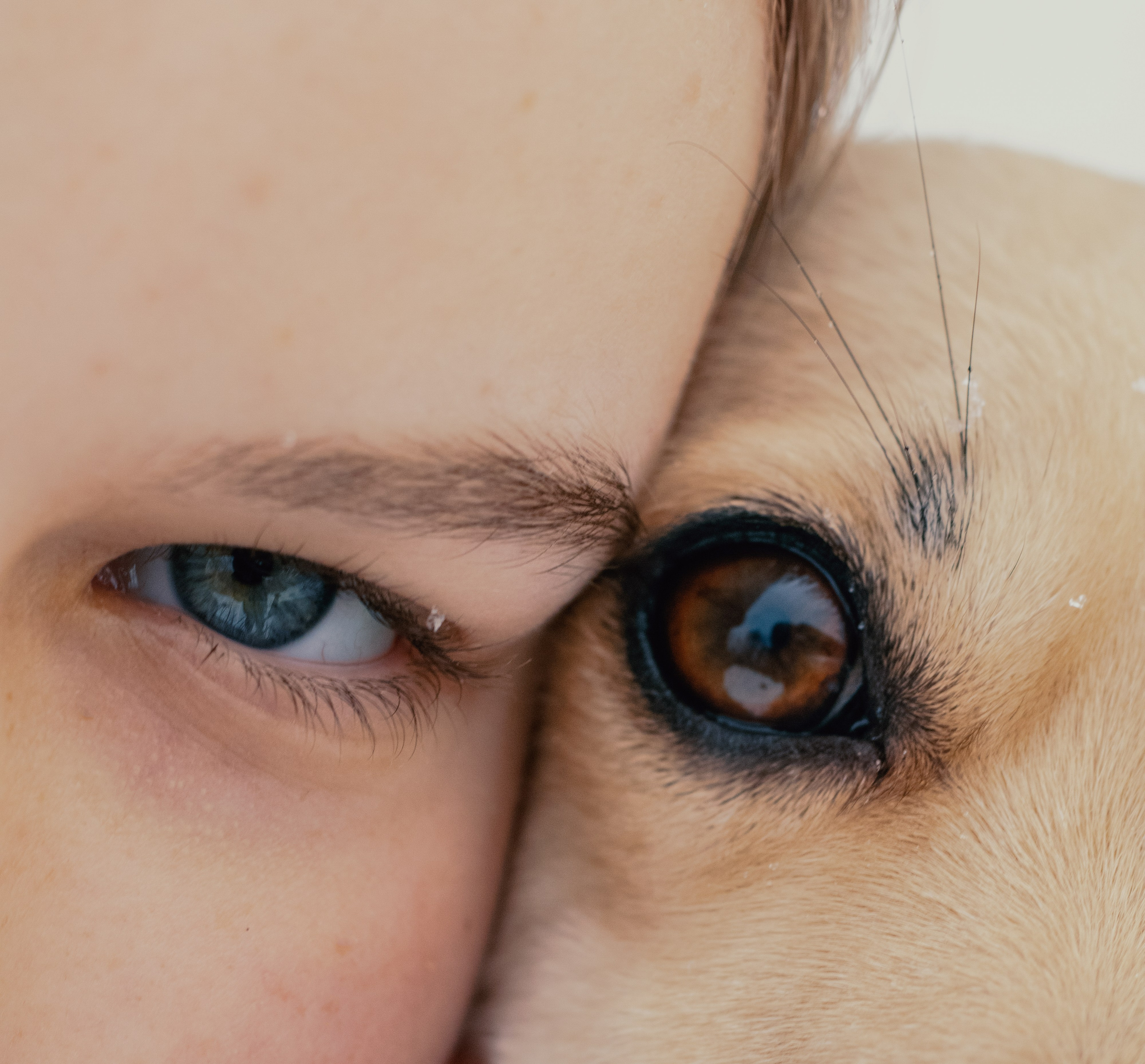 Даша, Кима, Лида и Амур. Катя Попова|ЛайфСтайл фотограф