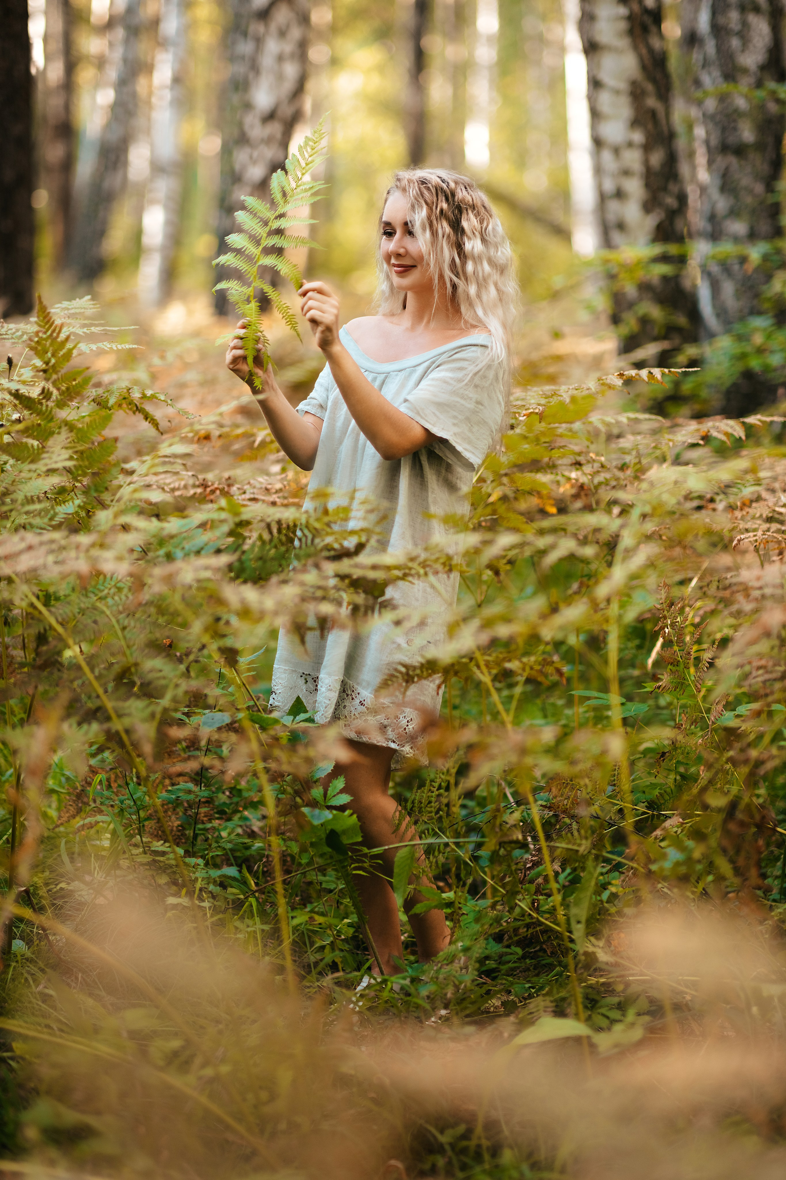 В папоротниках