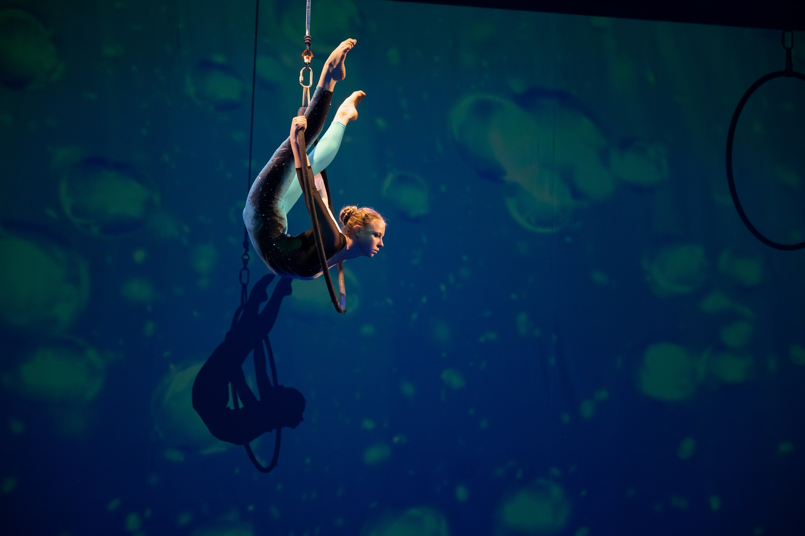 Отчетное выступление студии воздушной гимнастики Sport Evolution. Свадебный и семейный фотограф София Невская