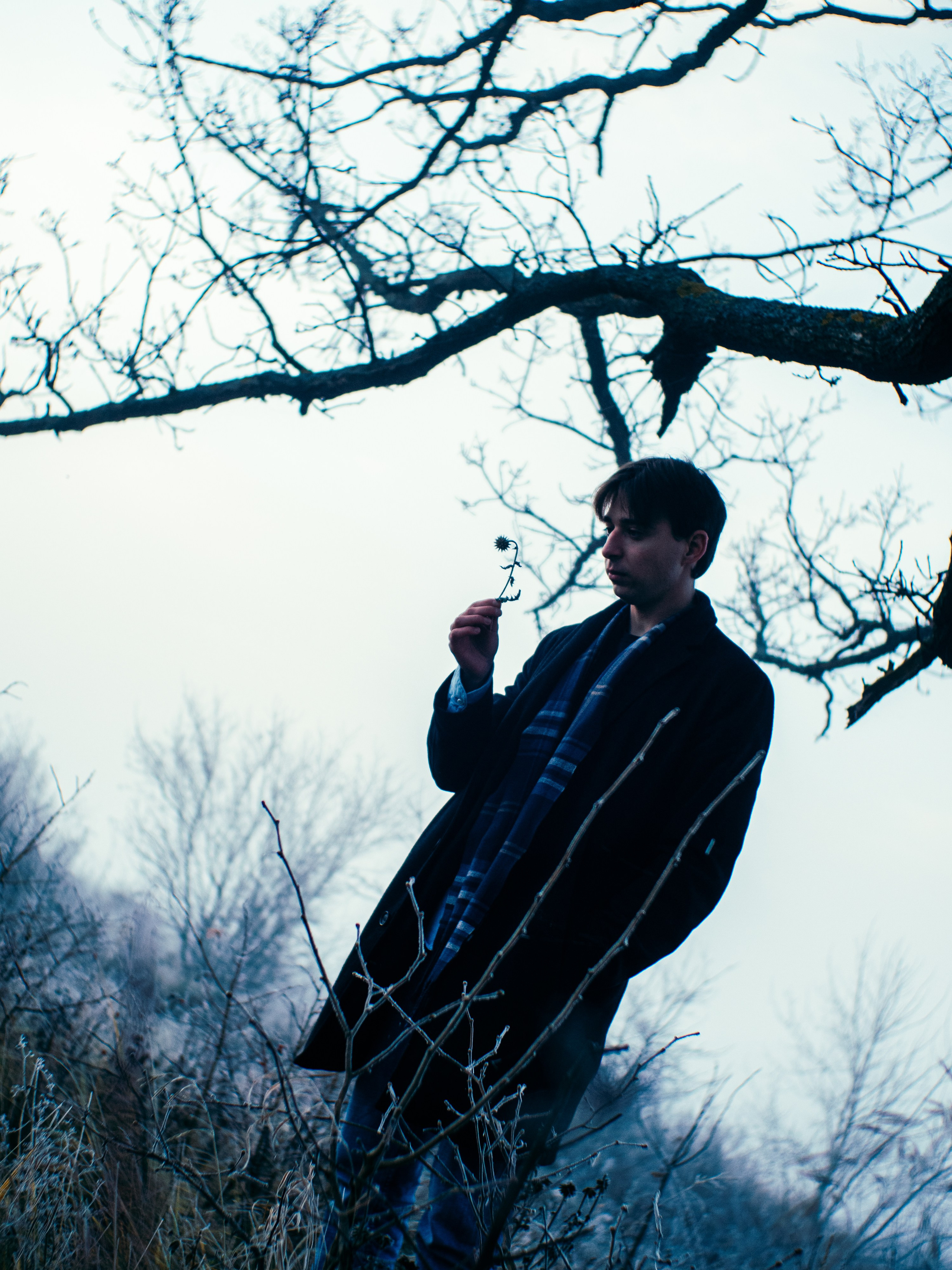 Nightwalker. Фотоистории