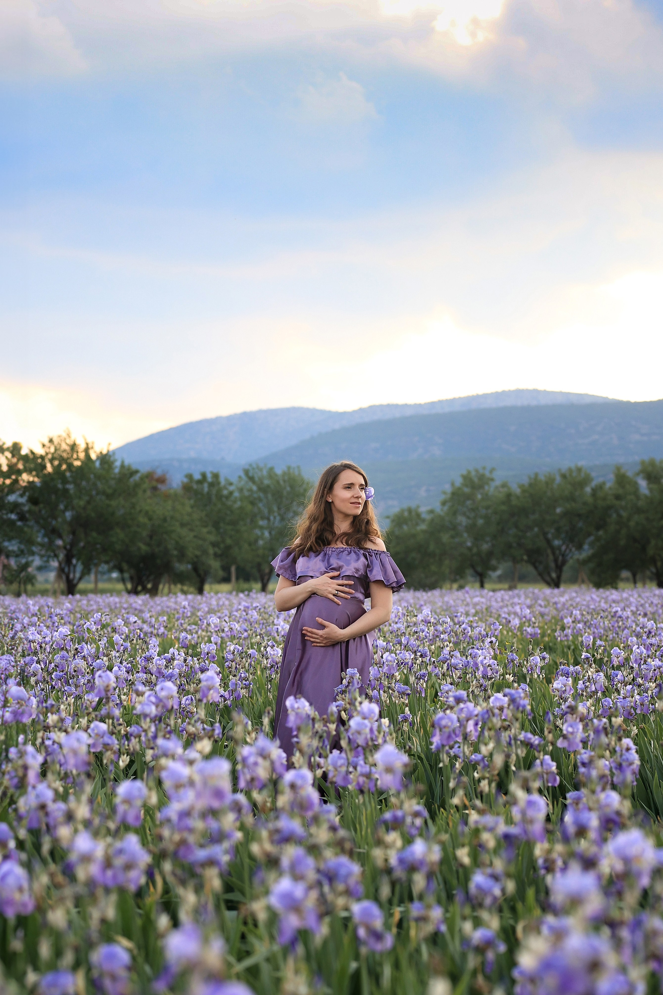 Fields of roses, irises and white poppies