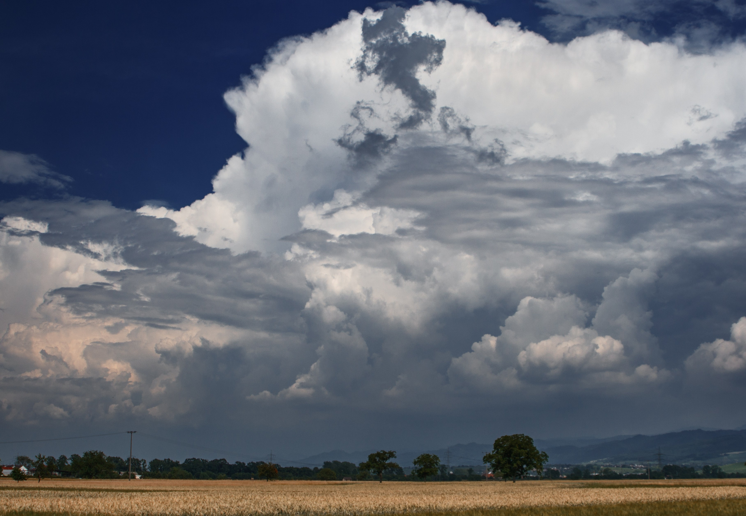 Пейзаж, природа. Портретный фотограф Станислав Жуков | Москва