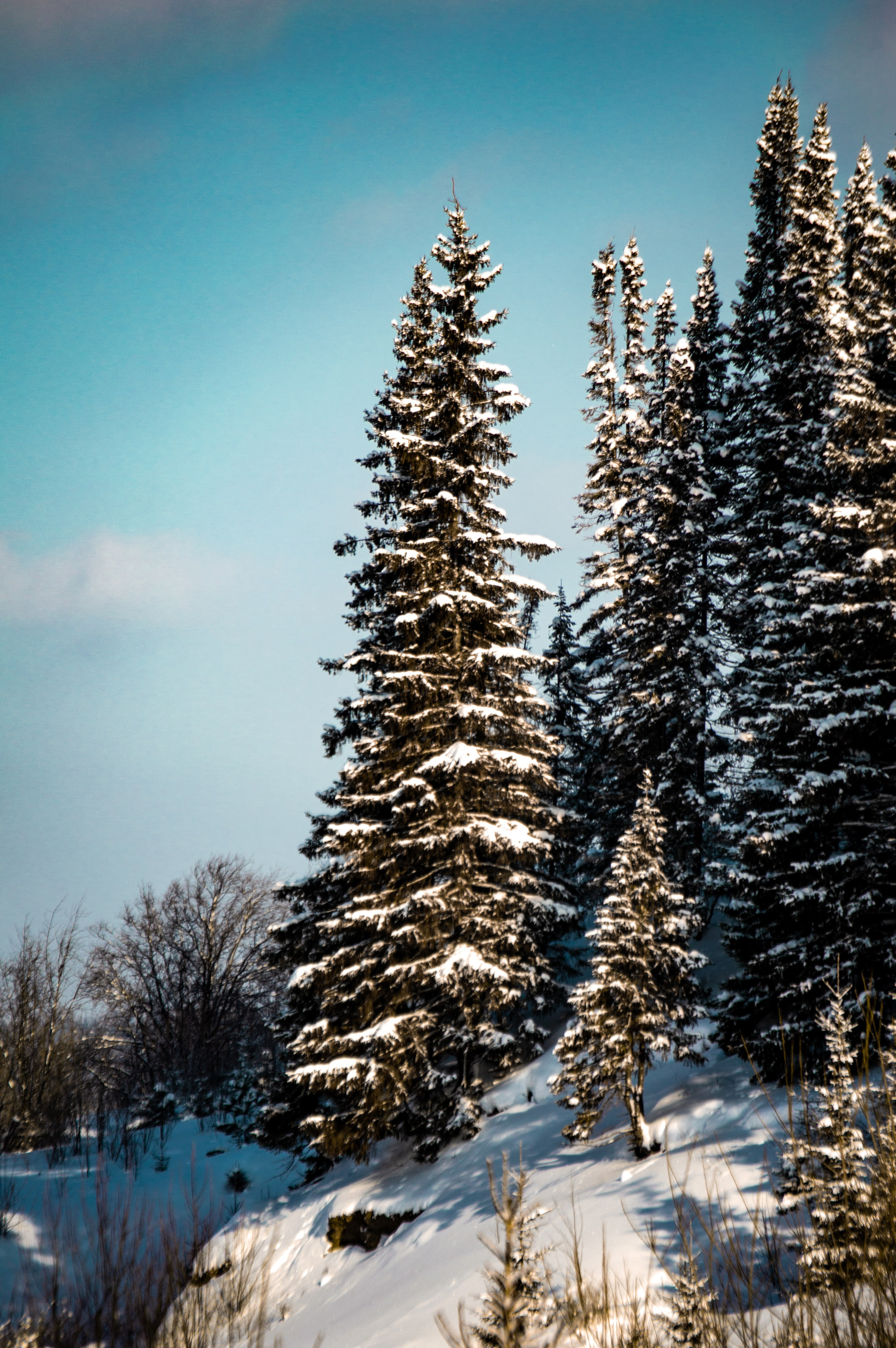 Эстетика еб{деревней}й. Место {не}банальных фото