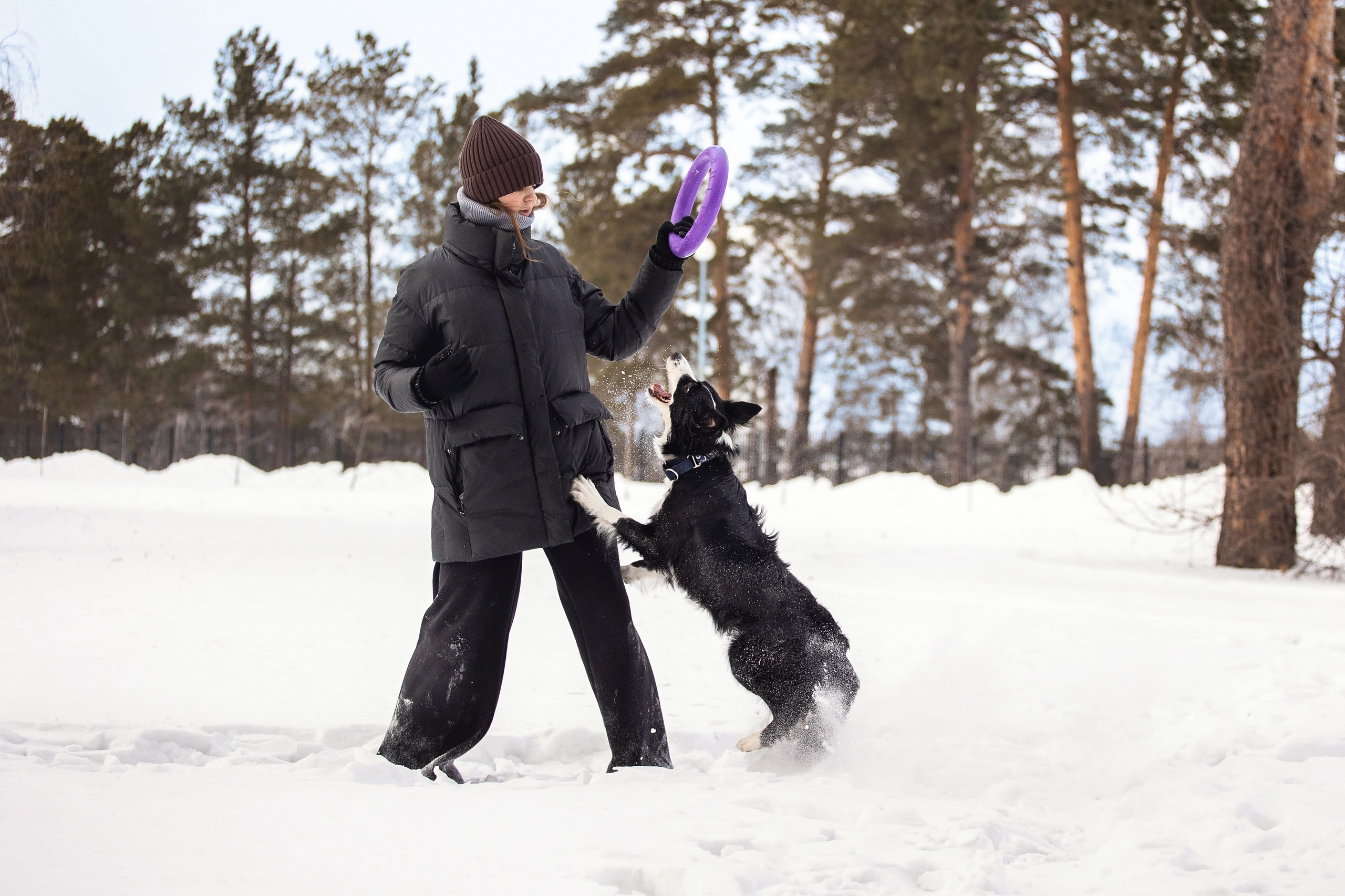 Арина и Грейс. YULA KOLESOVA | Фотограф — Анималист | Художник | Тюмень