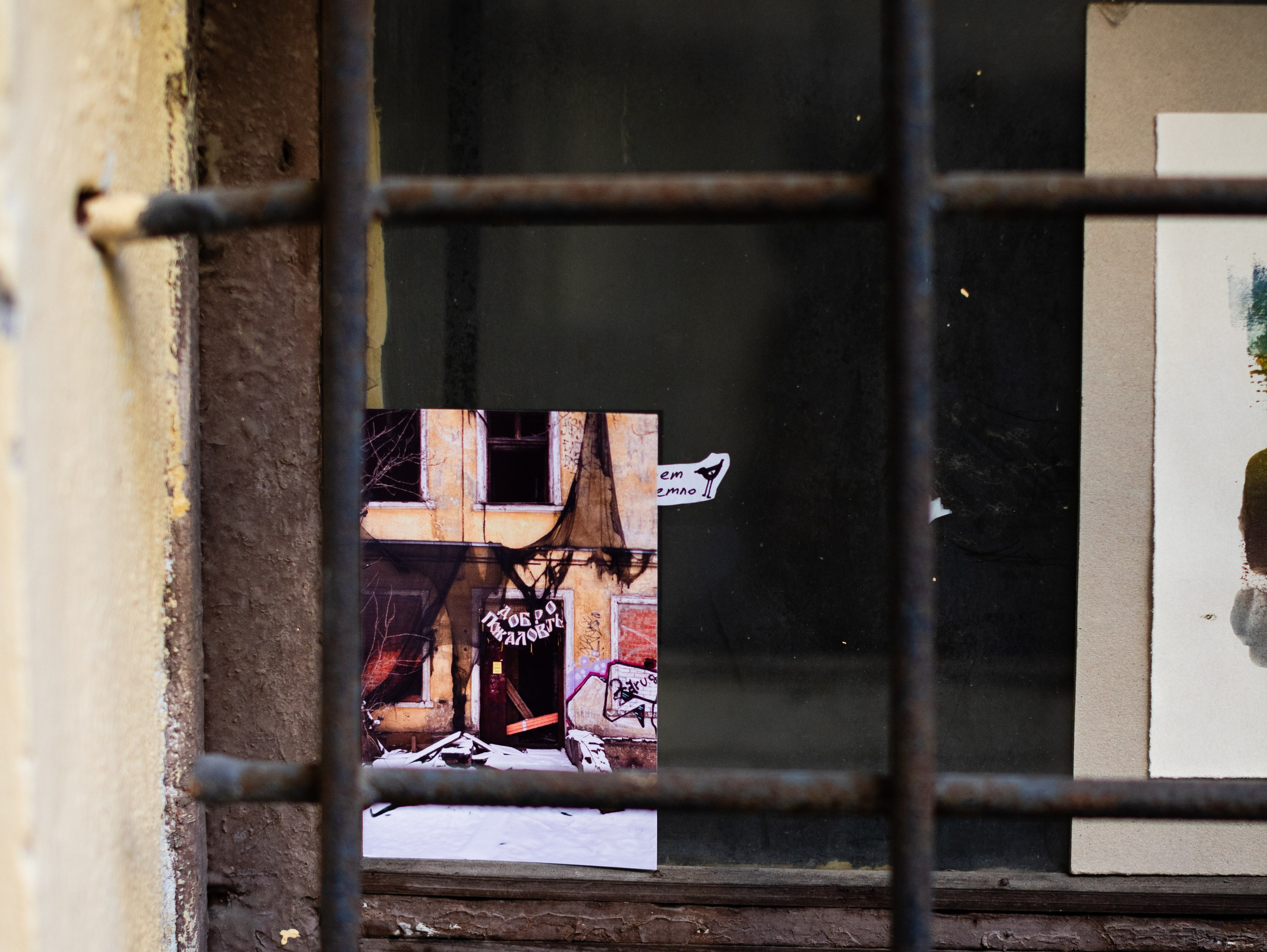 Выставка Ирины Иониной 2024. Фотограф Мария Немм