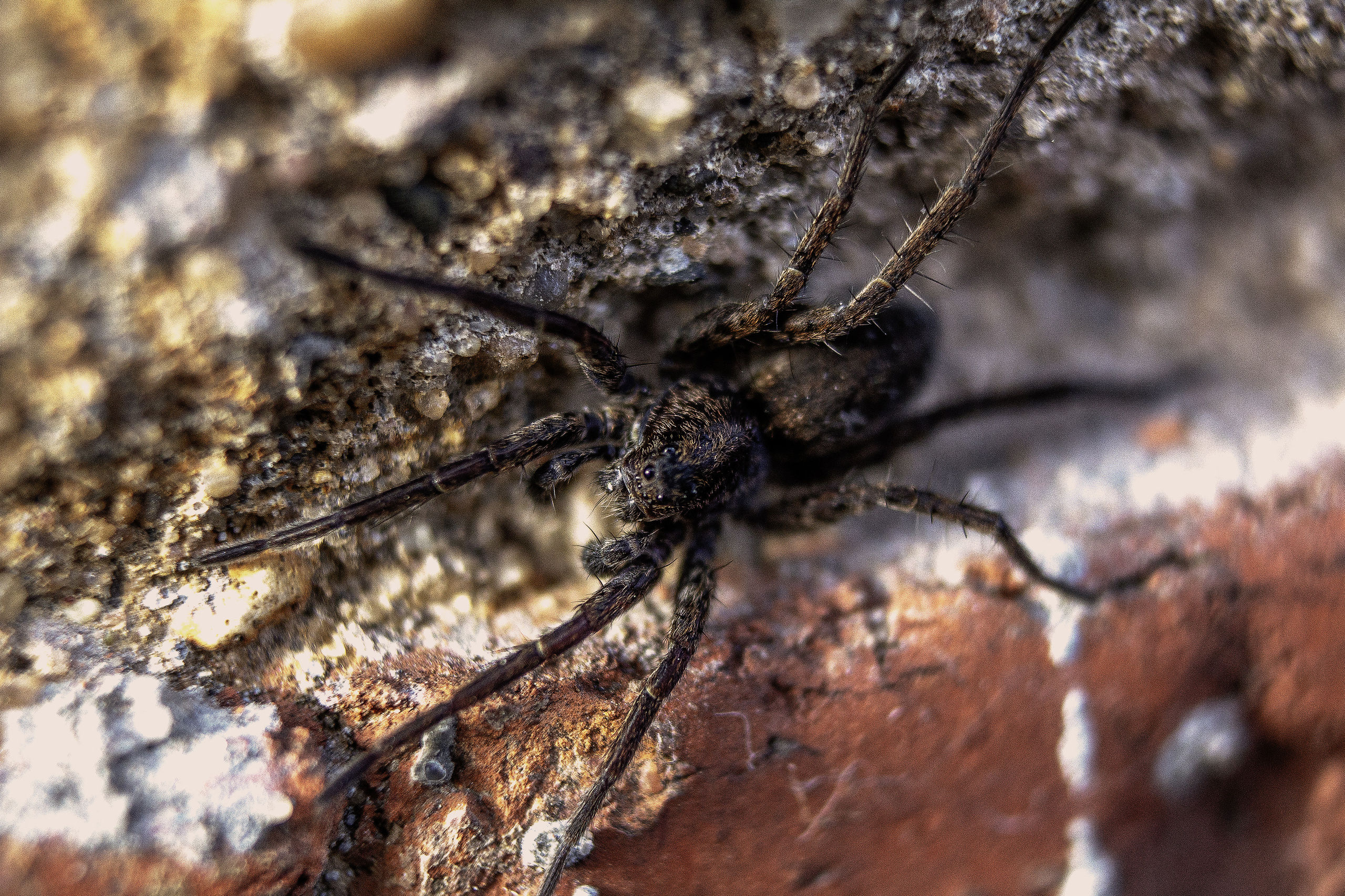 Макро. Обо всём