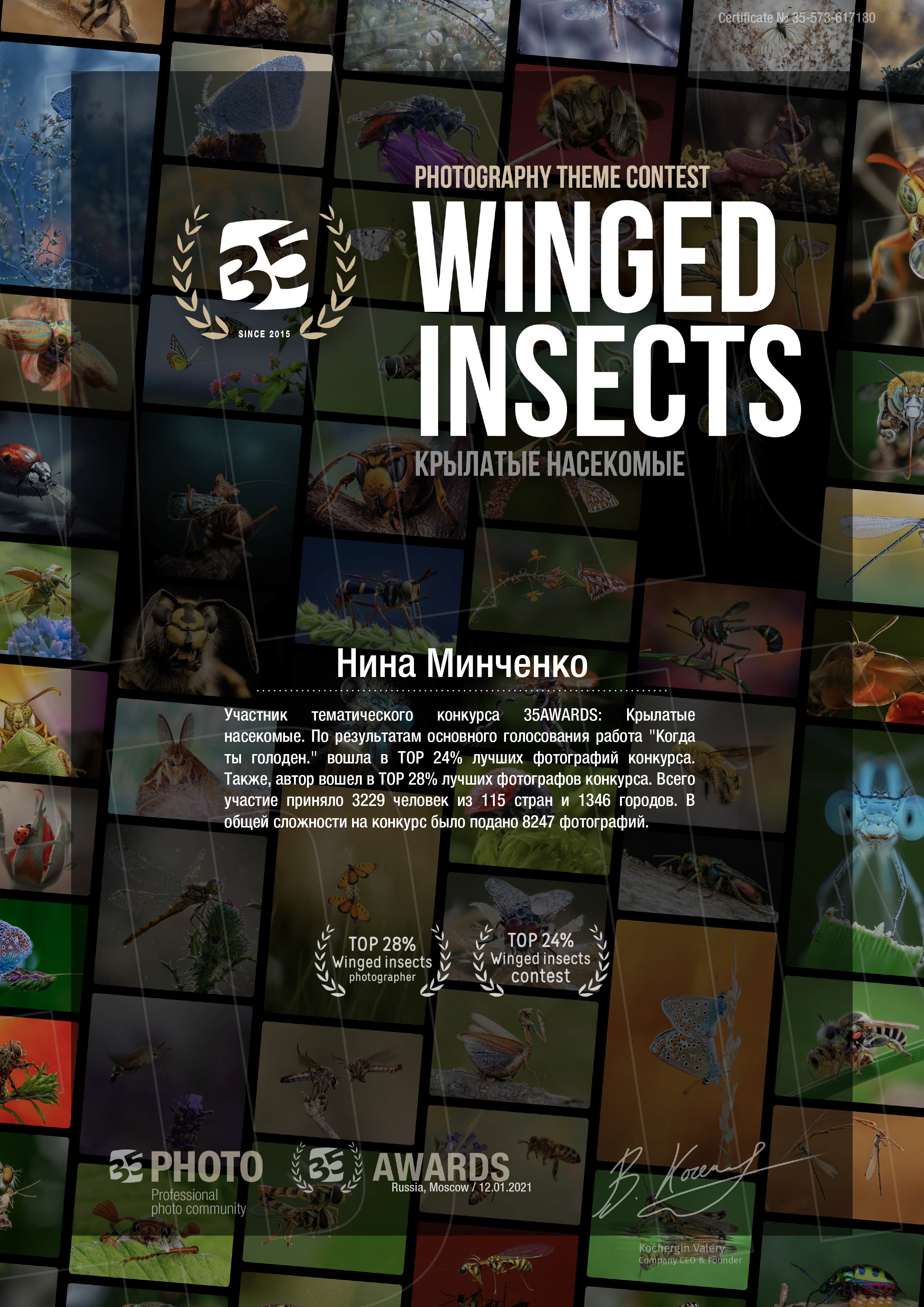 Мои достижения. Обо всём