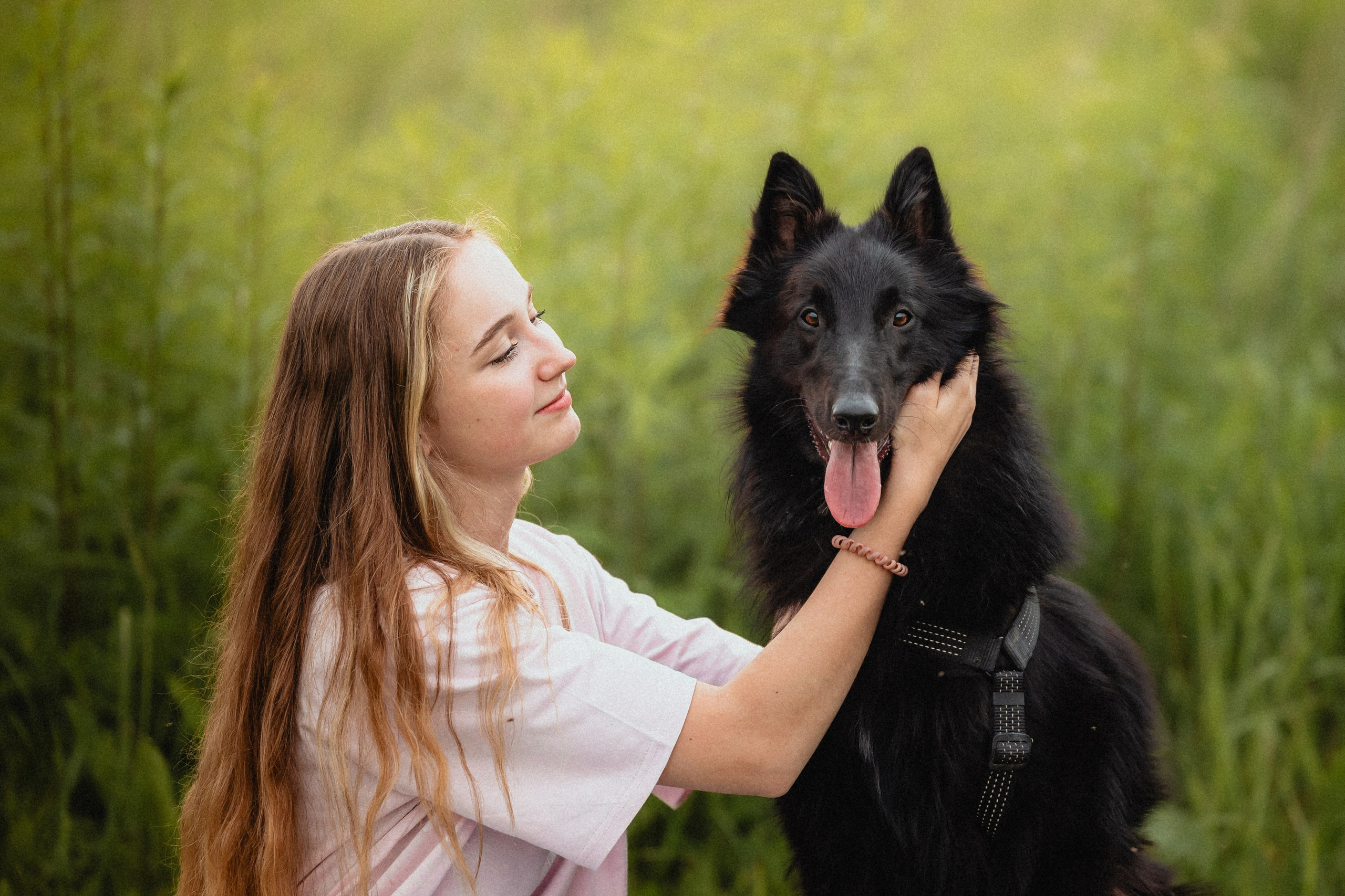 Выездной дог-тренинг от школы «Шерсть имею»