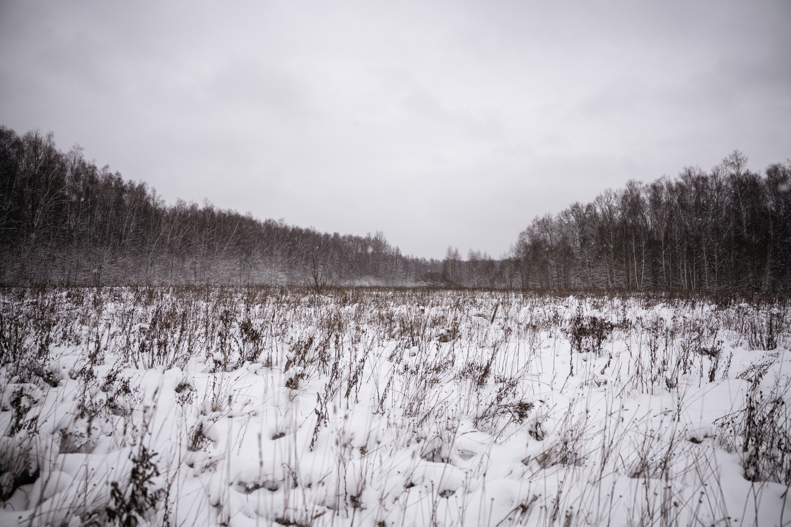 Поездка к р. Песочня и деревне Раевское. Vlad Trykov