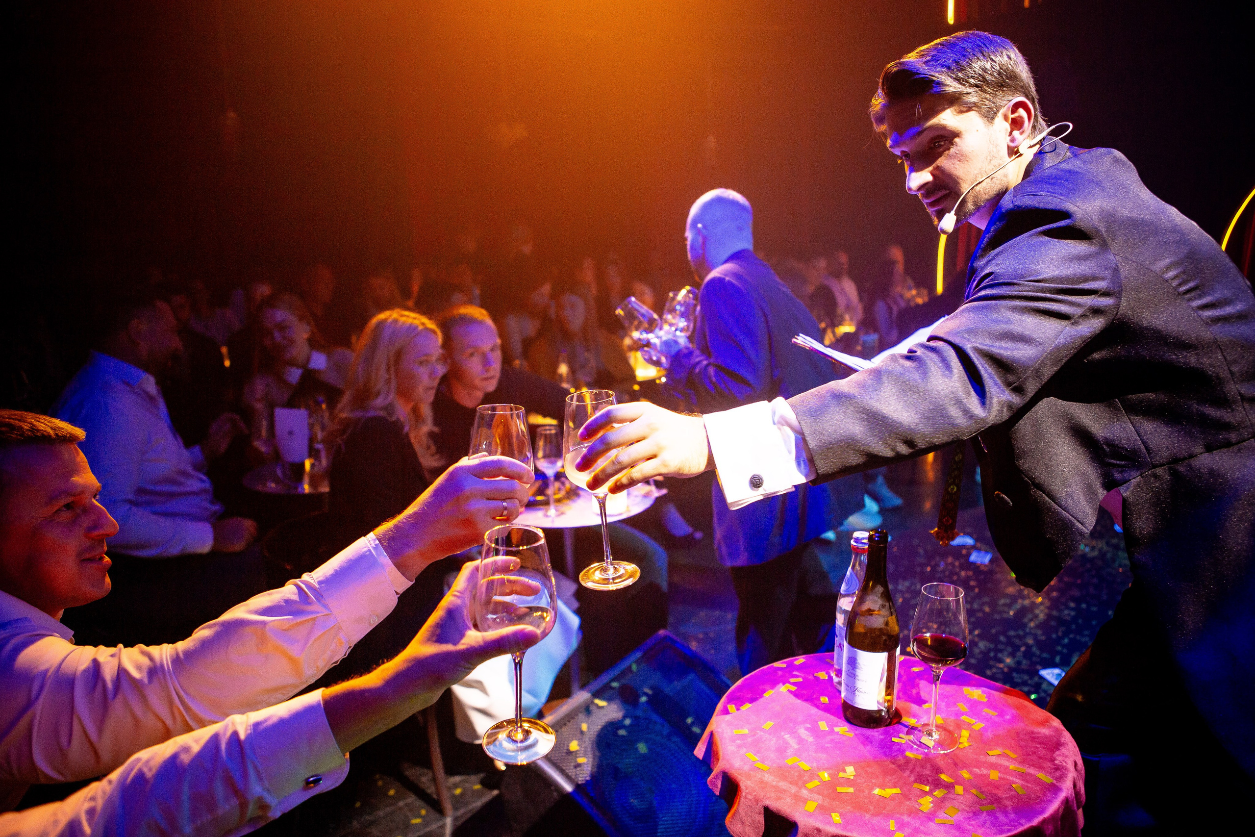 Цирковое шоу. Видеограф Добромыслов