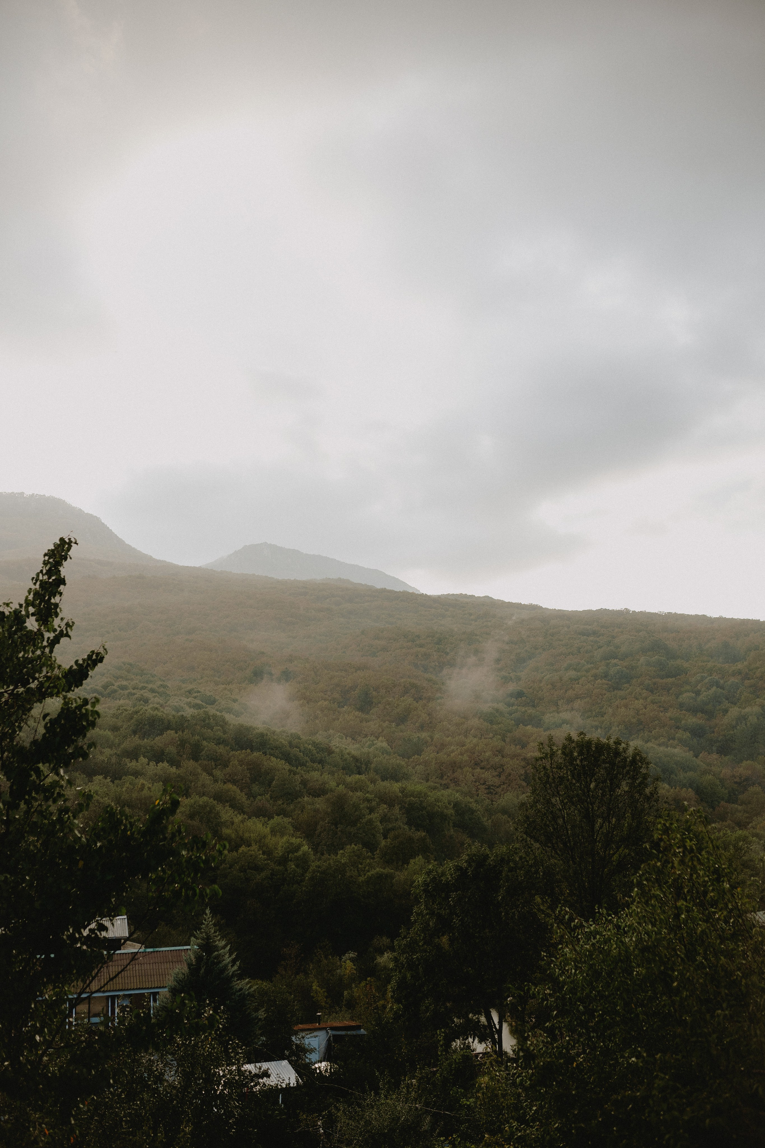 Дима и Настя | Rainy mountain wed | Крым. Свадебный фотограф в Санкт-Петербурге Анастасия Селиванова
