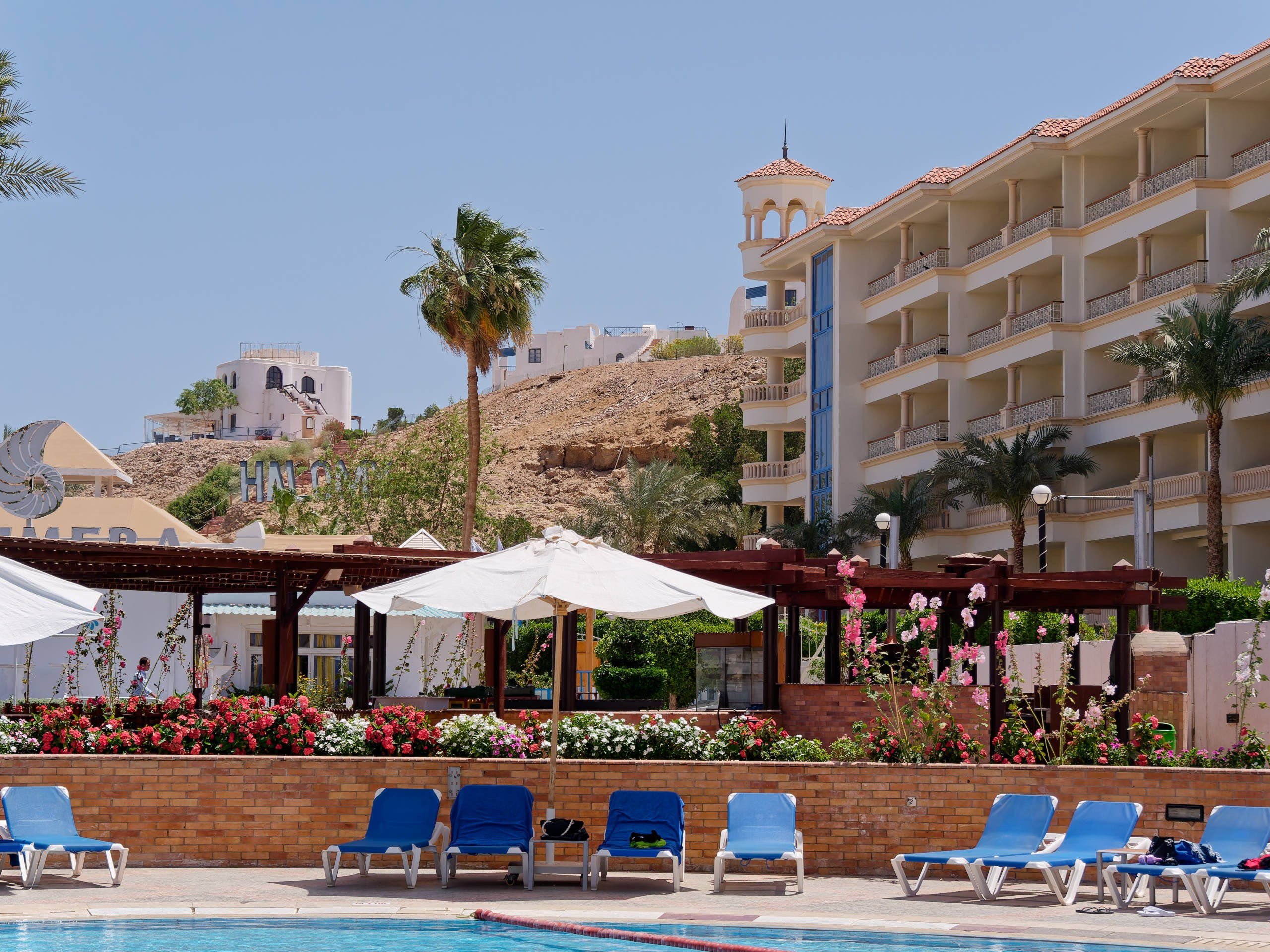 Шарм-эль-Шейх 2022 (1). Избранные фотографии