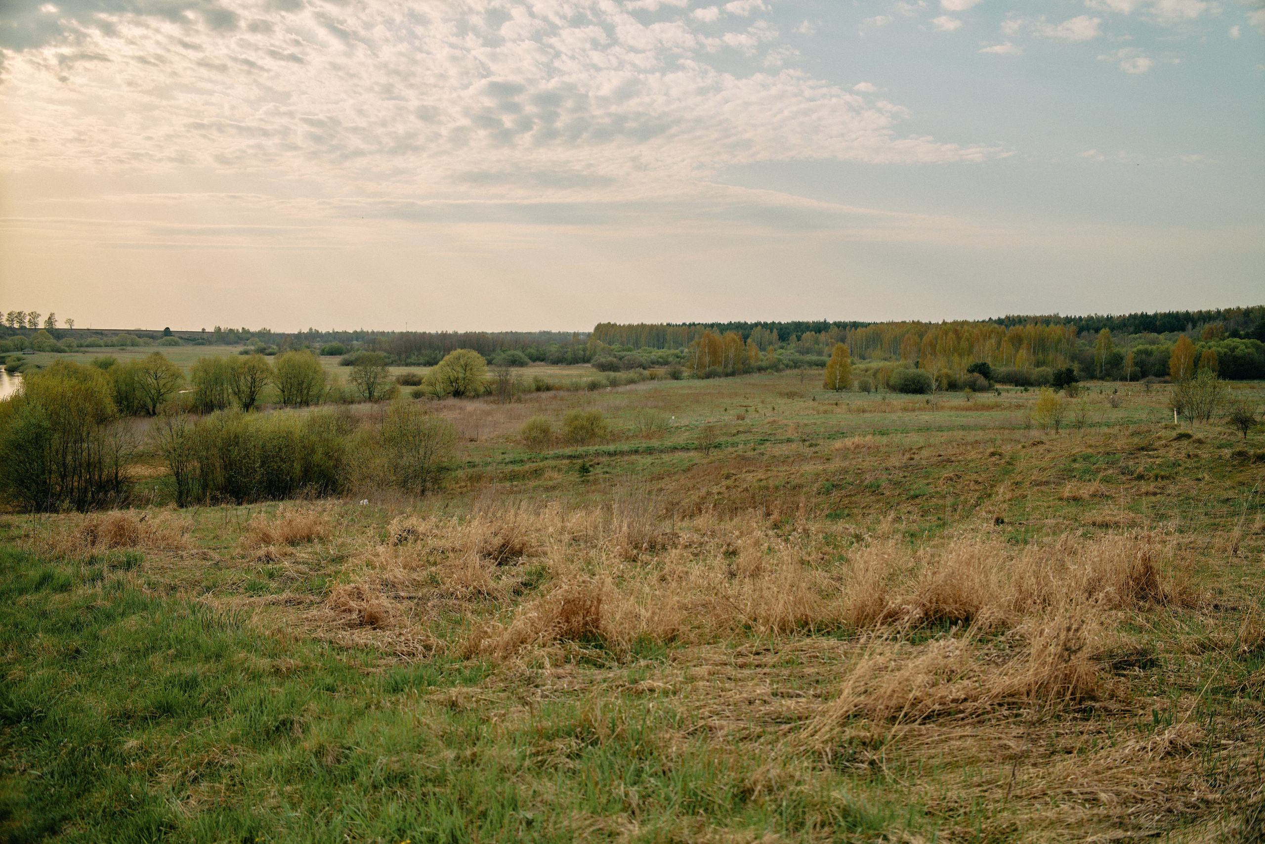 Бутик-отель Поле летом. Профессиональный Фотограф во Владимире, в Москве и в Суздале — Полина Романычева