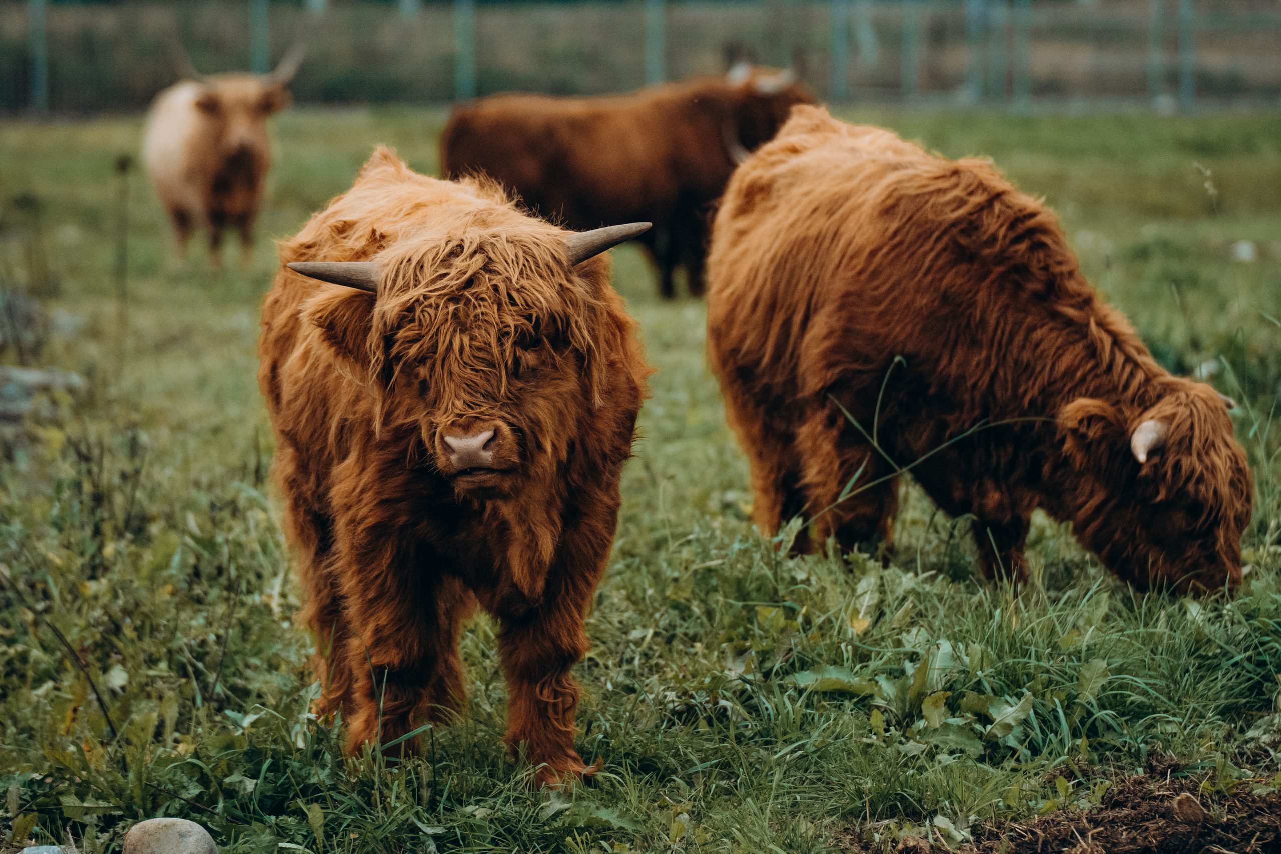 СЕВЕР. Event фотограф Степанова Александра