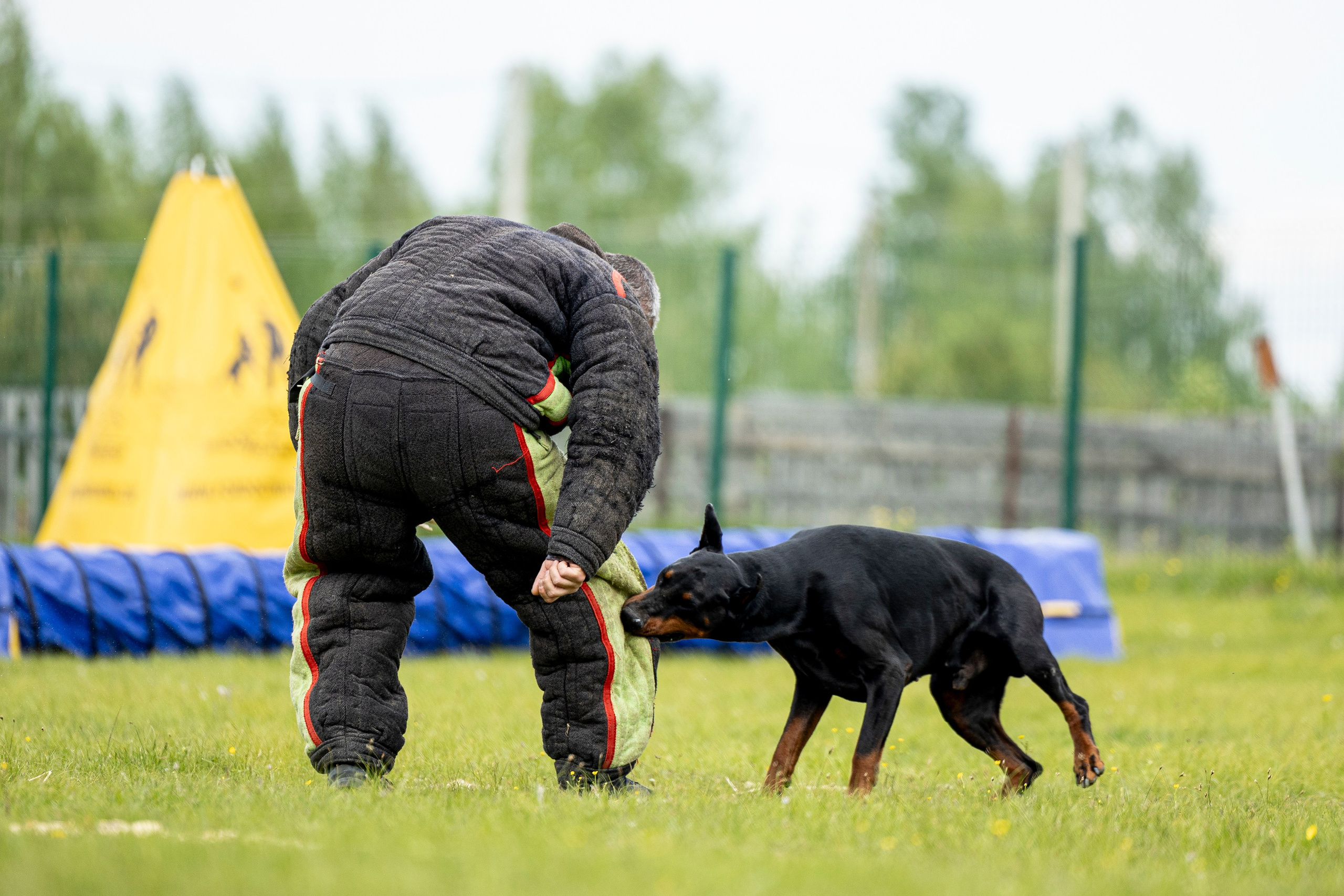 Испытания по мондьорингу в Нижнем Новгороде. Фотограф-анималист Анна Маринич