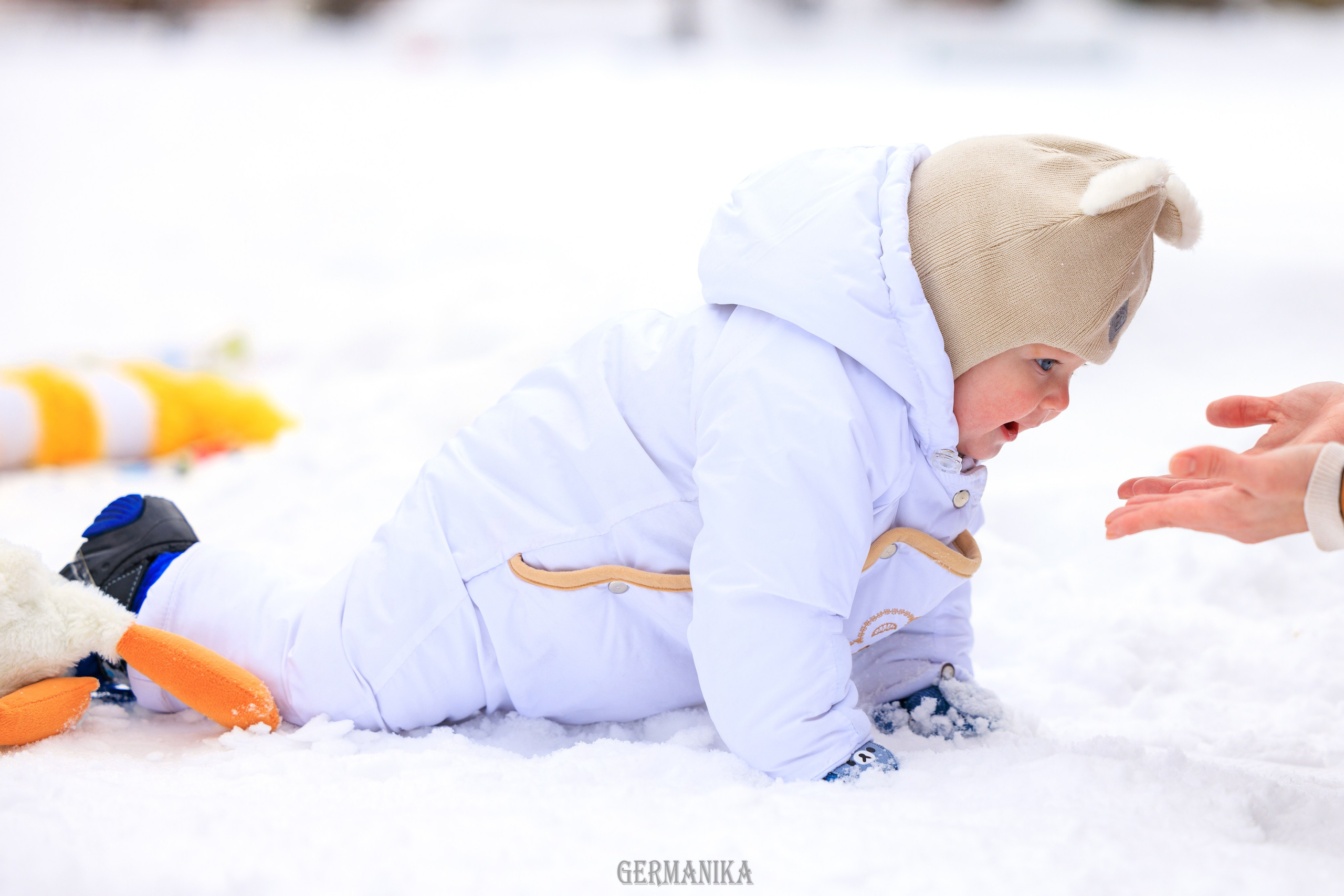 Семейное. Фотограф-анималист Юлия Германика