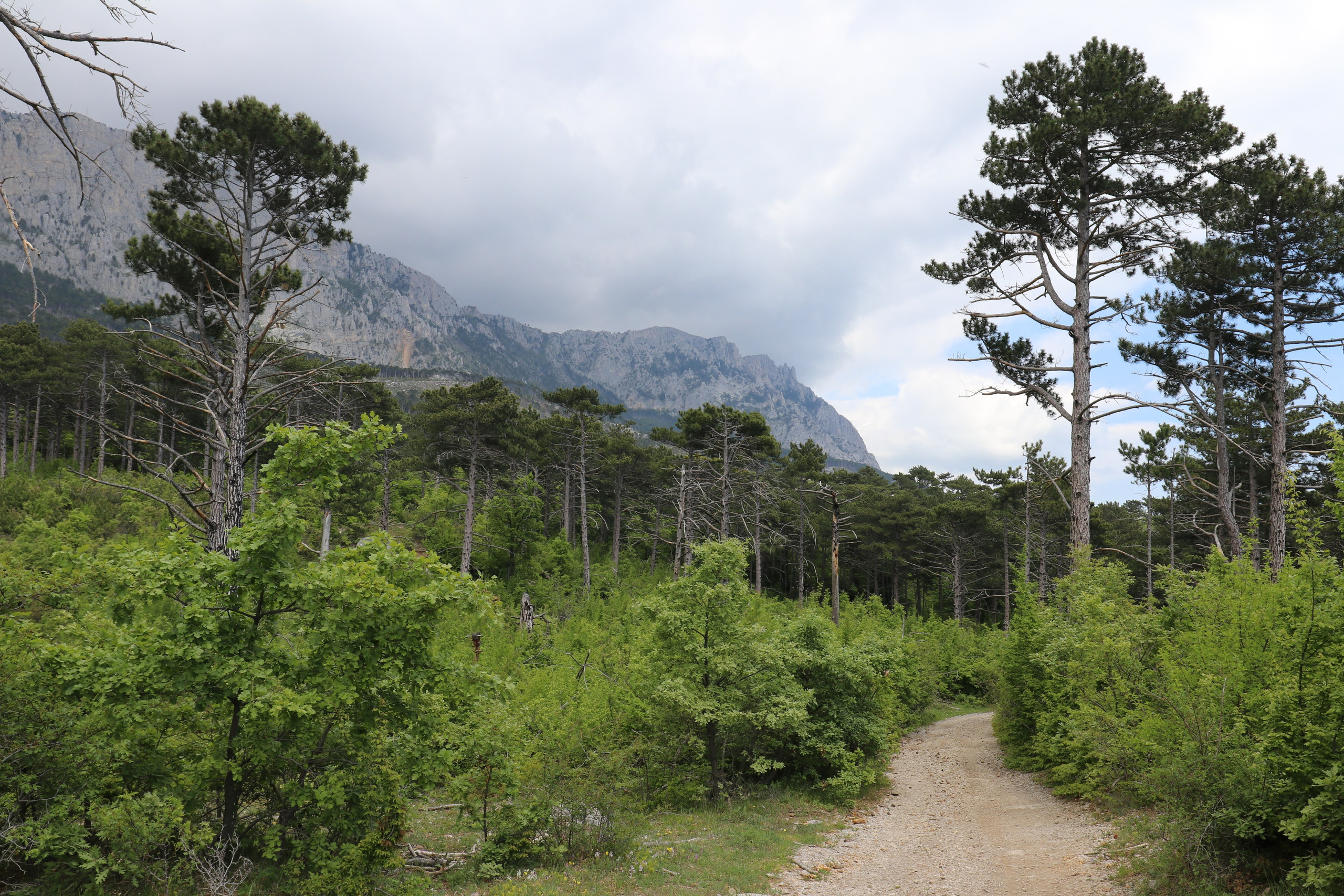 Крым. ЮБК (Бахчисарай, Демерджи, Судак). Первый скалолазный выезд. Май 2019. Путешественник-фотограф из Санкт-Петербурга Татьяна Свистулина