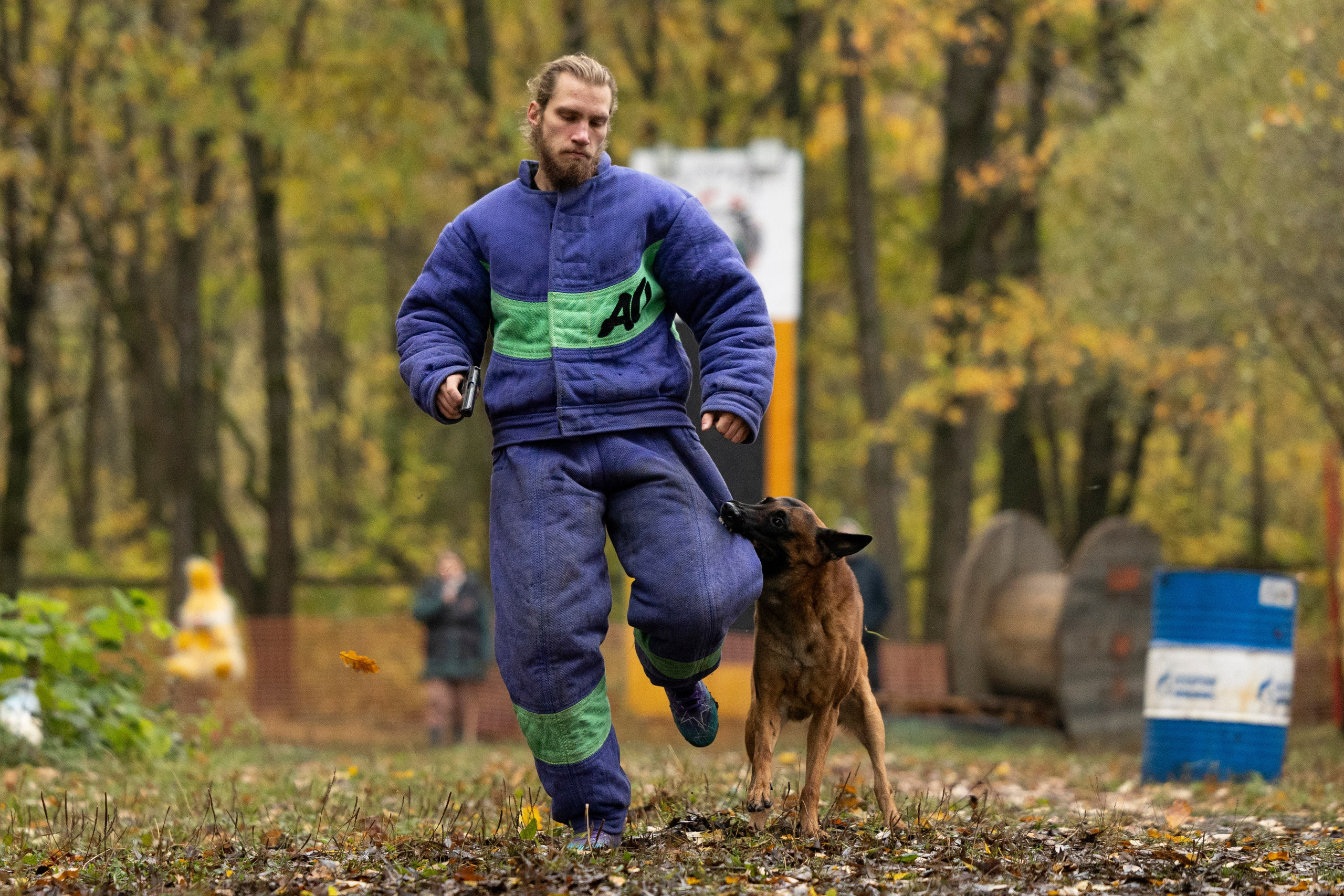 Соревнования по Мондьорингу г. Вологда. Фотограф-анималист Анна Маринич