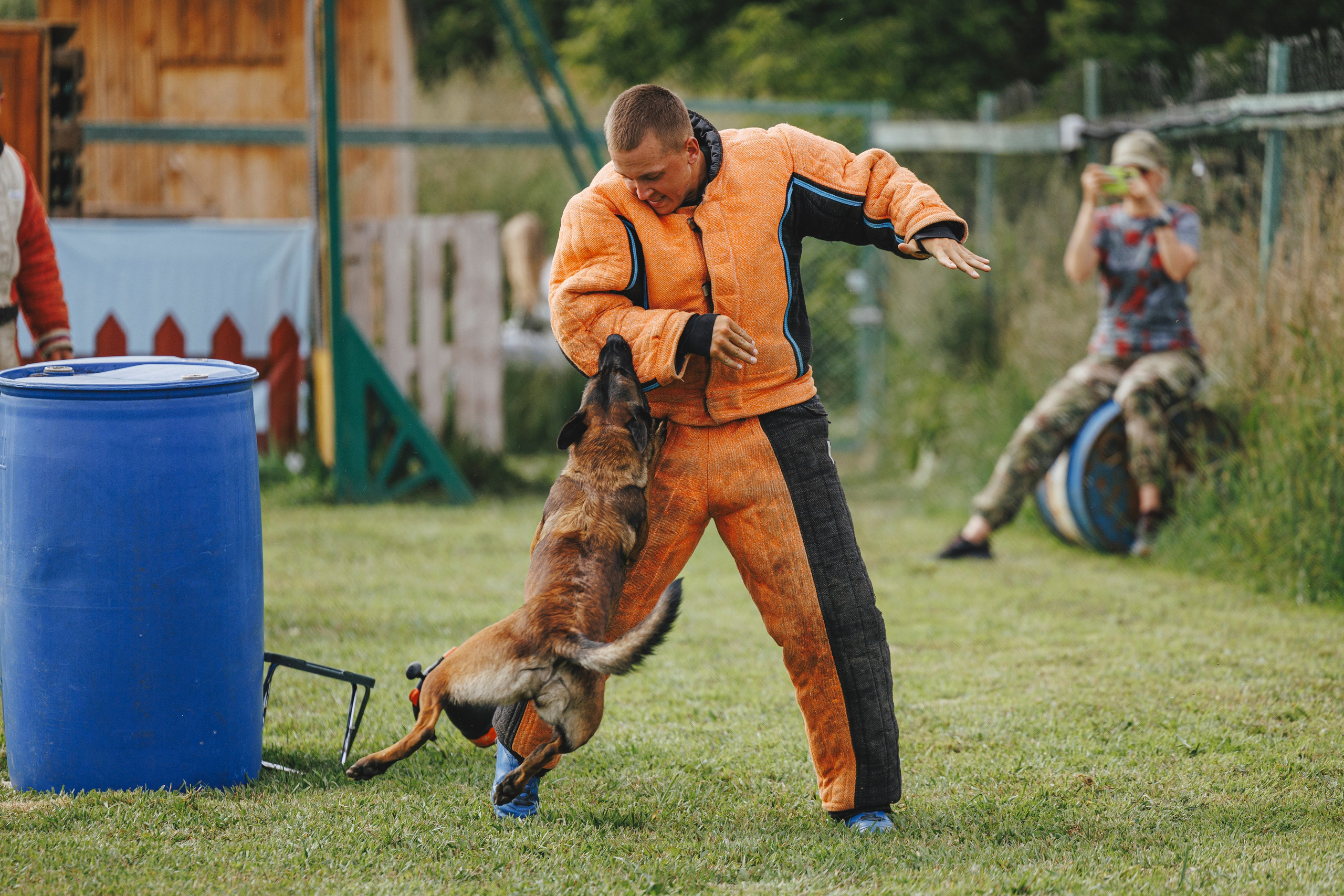08.08.25-10.08.25 ЧР по мондьорингу г. Вологда. Фотограф-анималист Анна Маринич