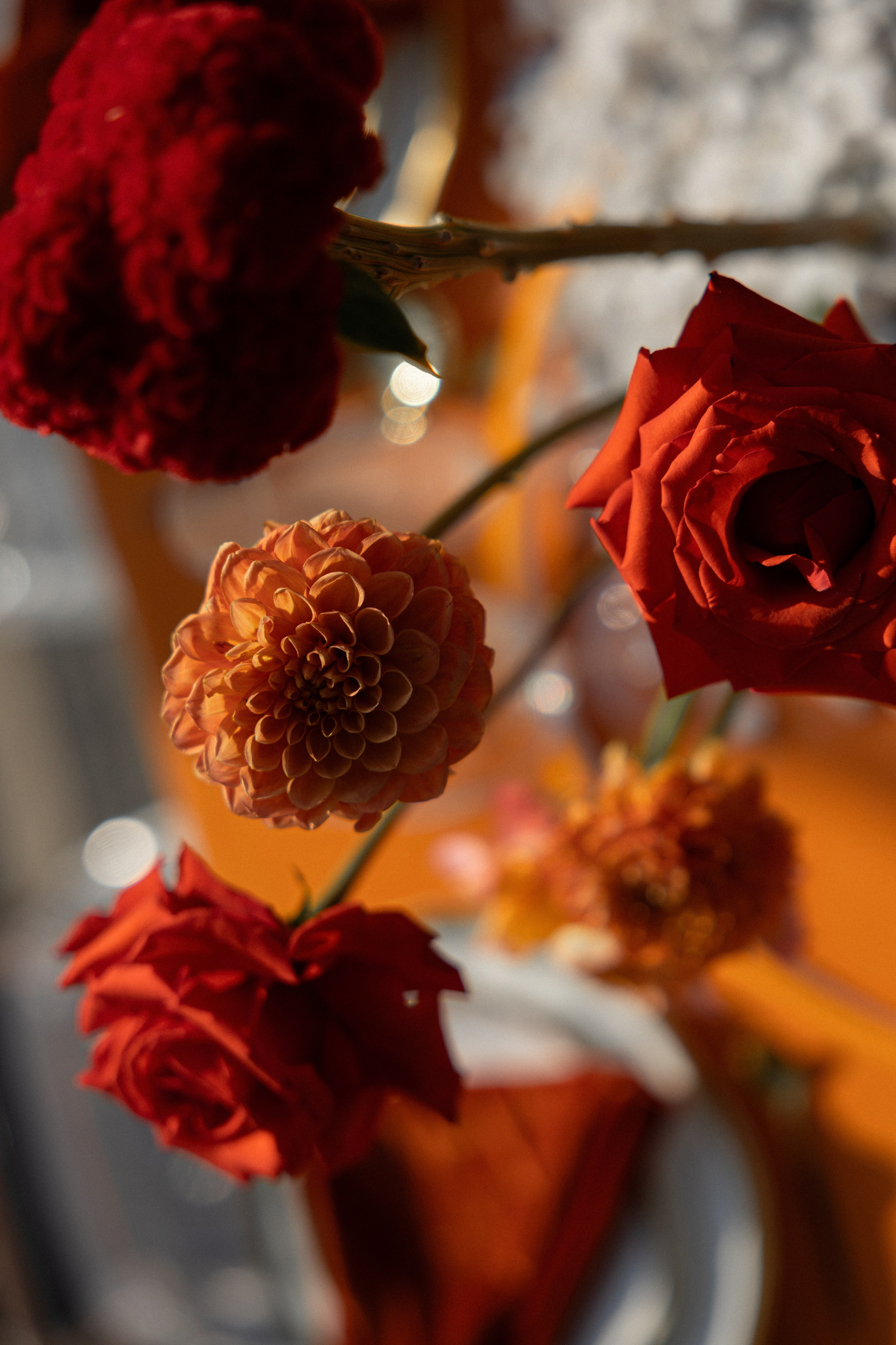 Dmitry & Maria. Вебер Юлия фотограф Ростов-на-Дону