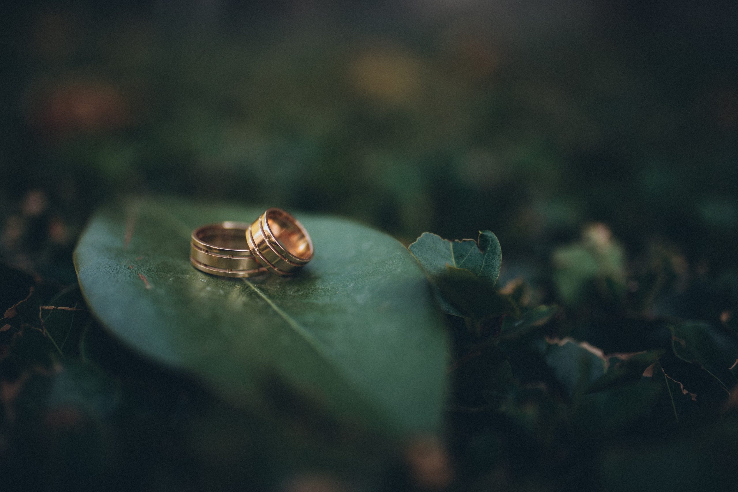 Свадьба. Photographer in Sevastopol, Crimea and Moscow Gorbunov Denis