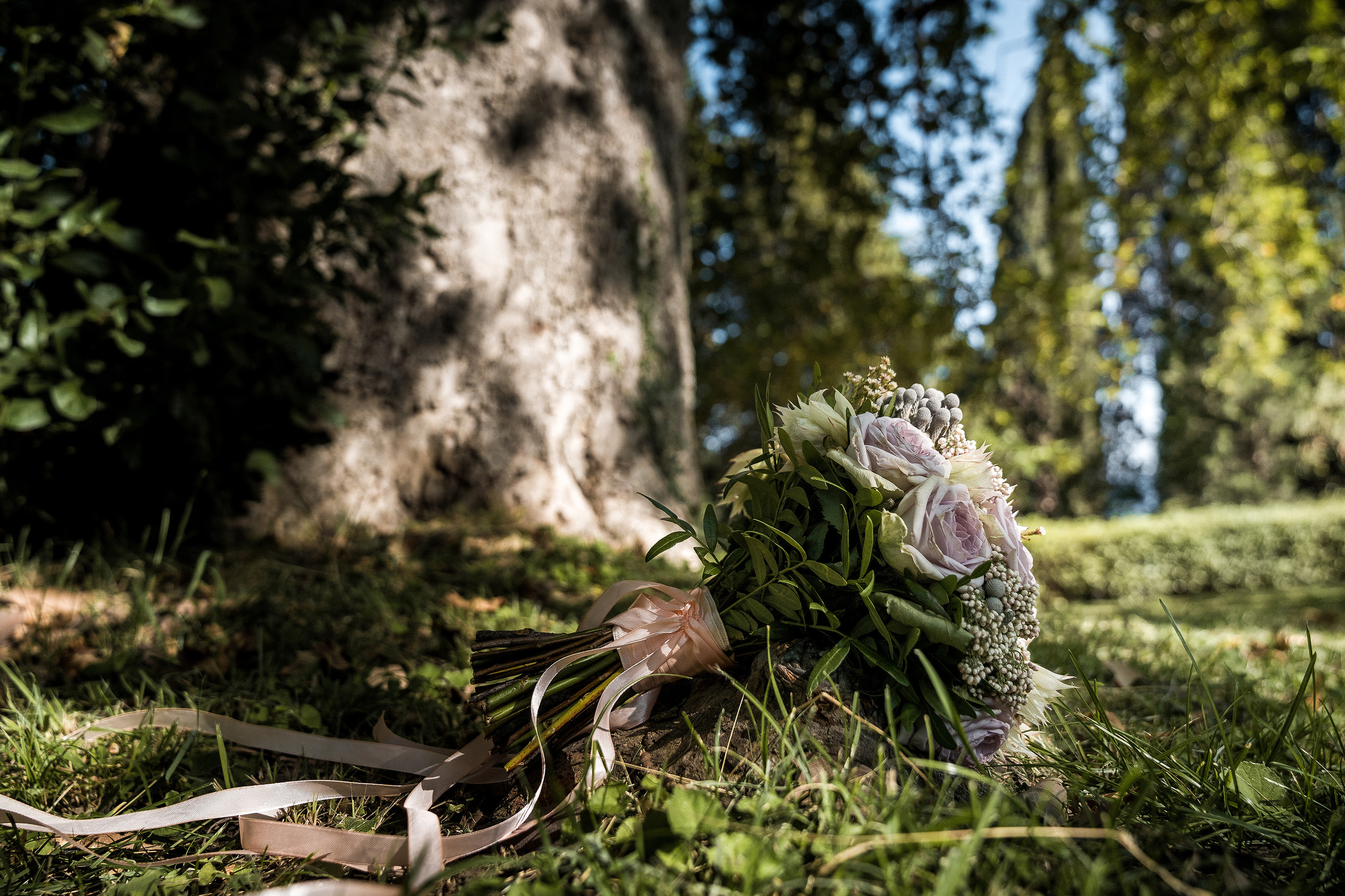 Екатерина и Петр. Photographer in Sevastopol, Crimea and Moscow Gorbunov Denis