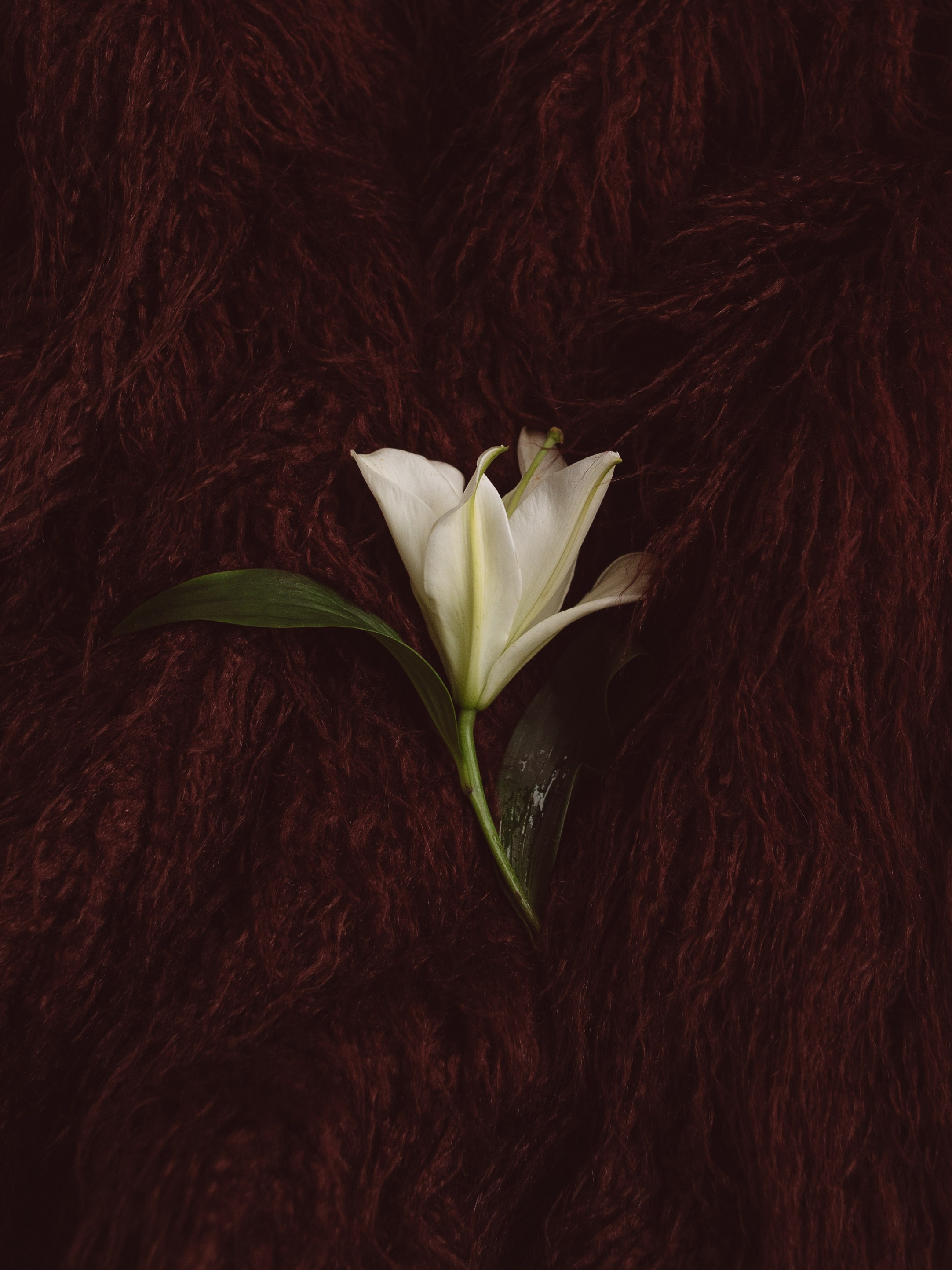 Стилист. Женский и контент фотограф в Москве