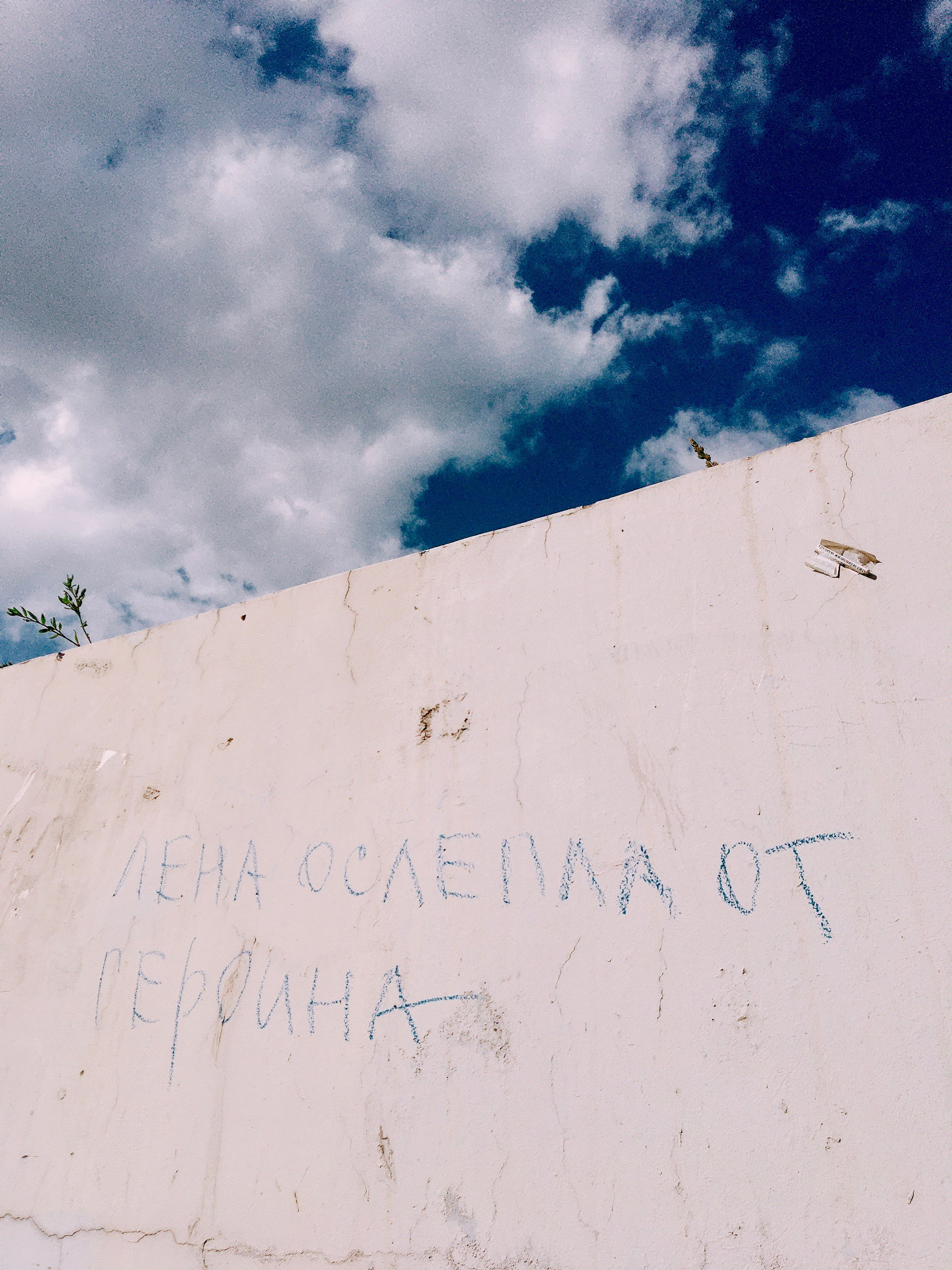 Street Caps. Alina Panover