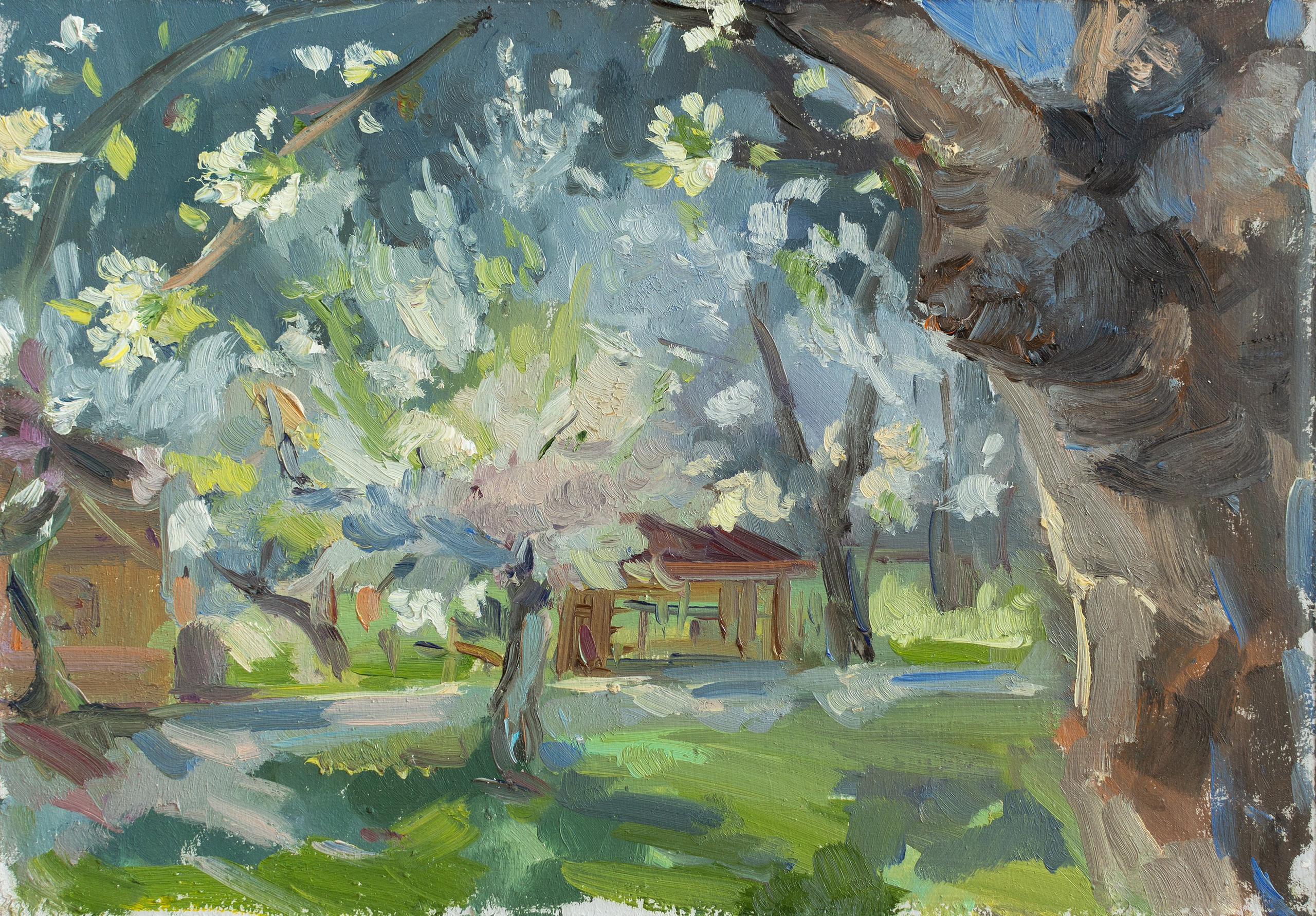 "Этюд.Черешни цветут" оргалит, масло 21х30см, 2024