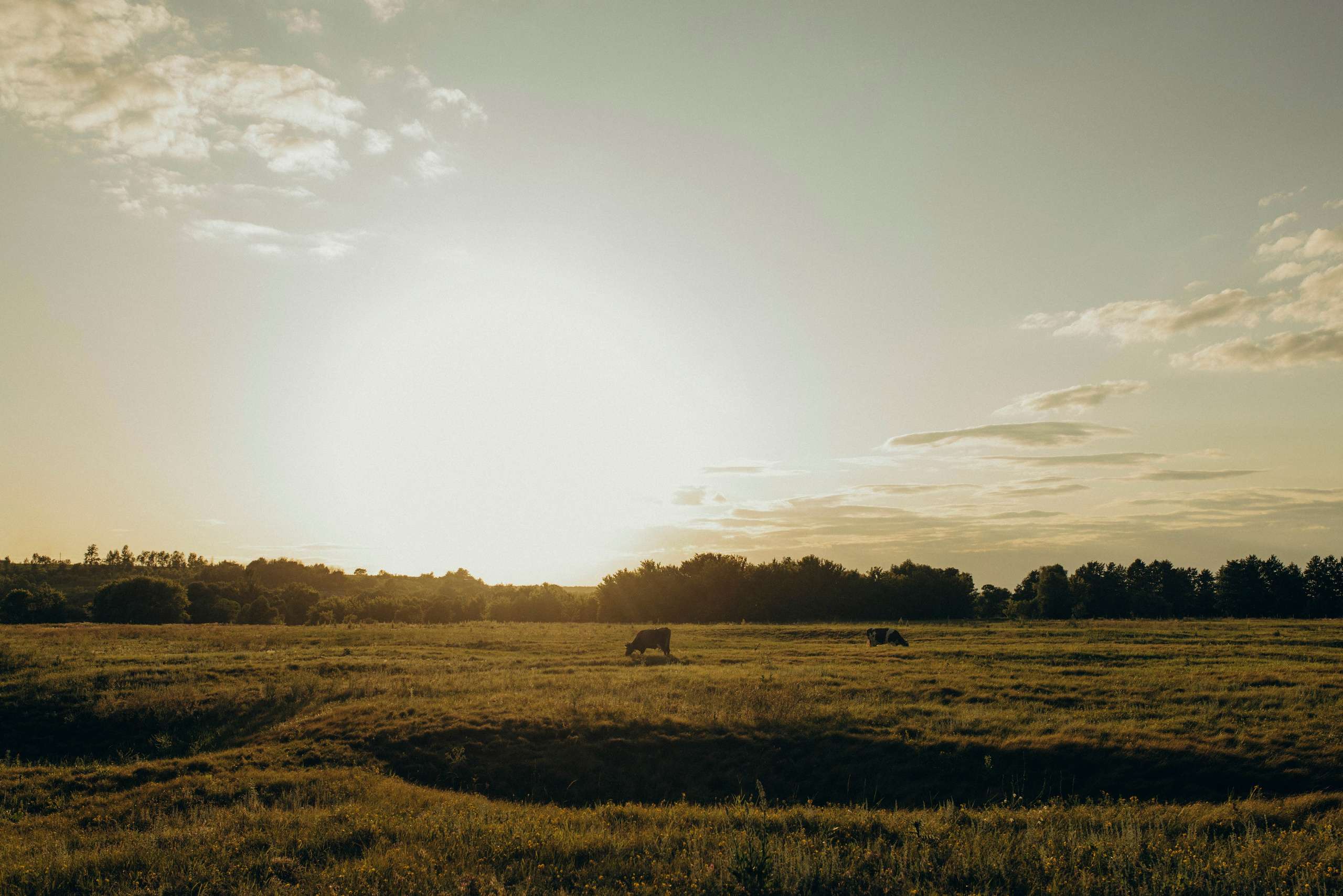 Яна и Дамир. Семейный и детский фотограф Башкатова Дарья Старый Оскол