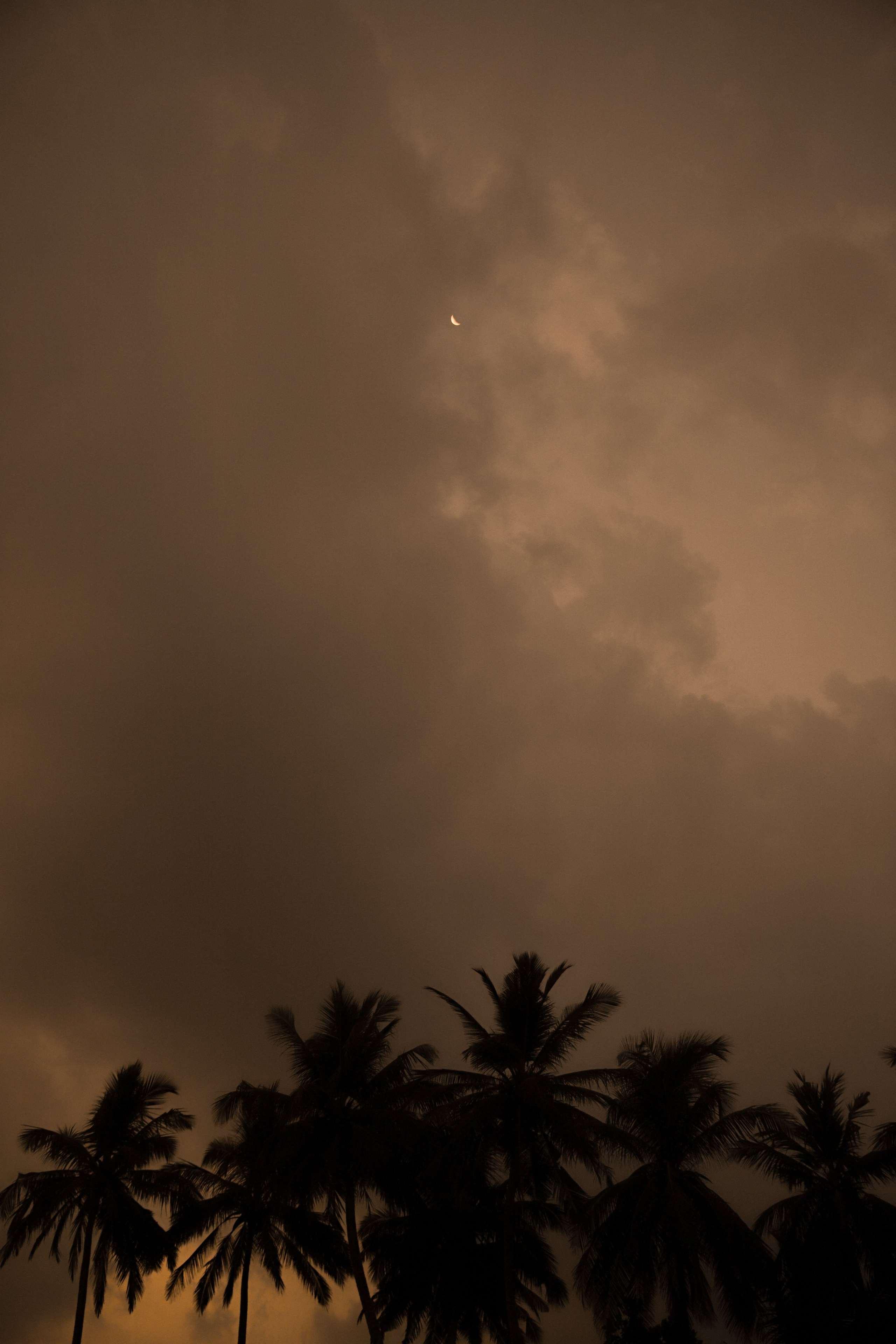 /все что вокруг. Kristina Rashkovskaya