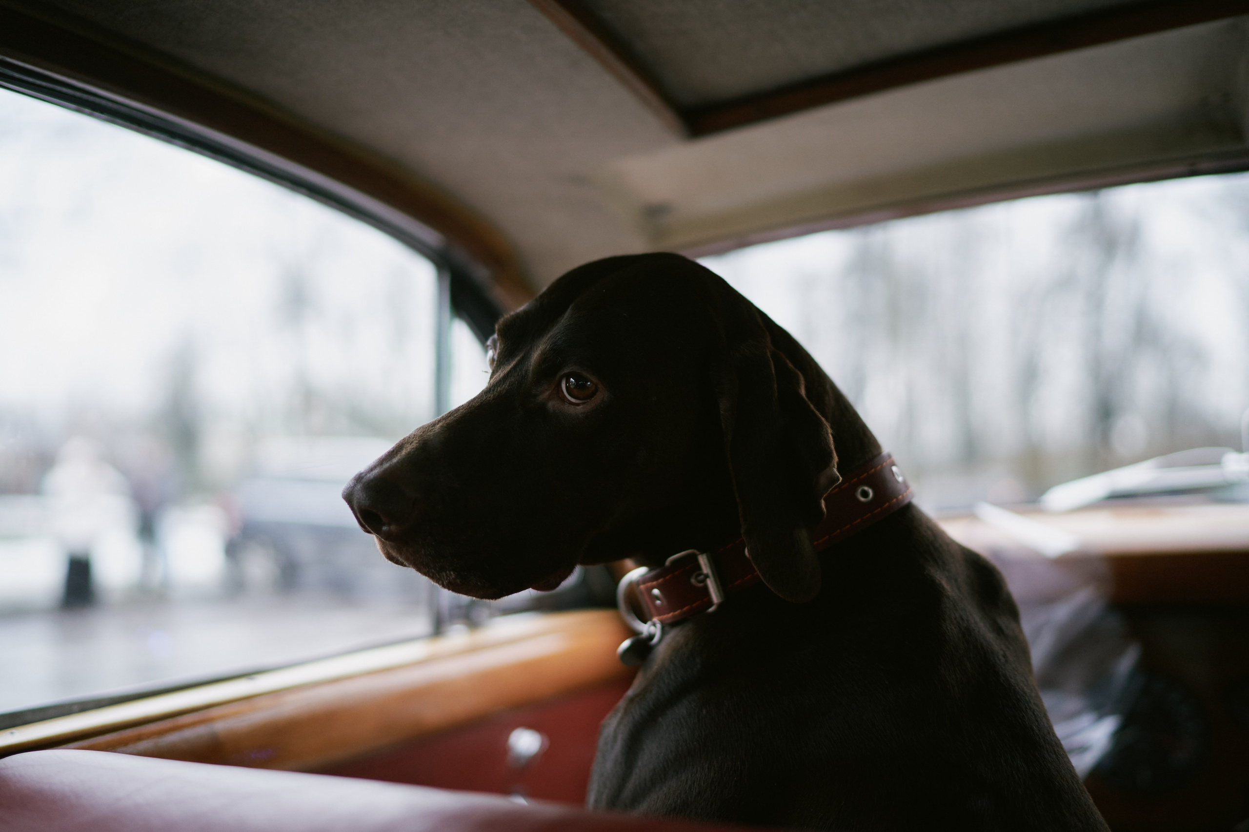 Наташа и Антон. Фотограф в Санкт-Петербурге | Аня Маленчук