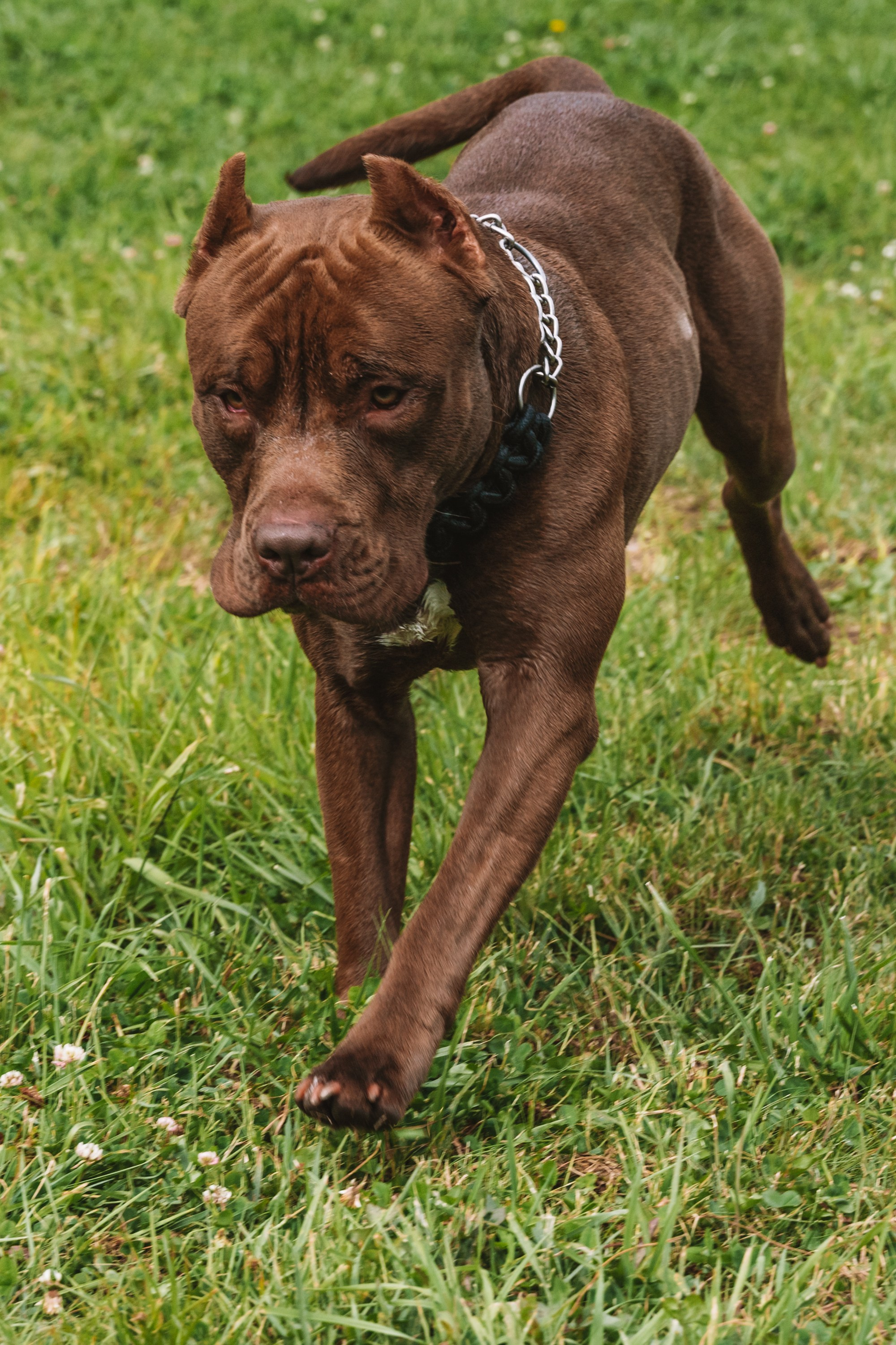 Лав стори фотограф Санкт-Петербург. Свадебный, семейный, портретный, репортажный фотограф в Санкт-Петербурге