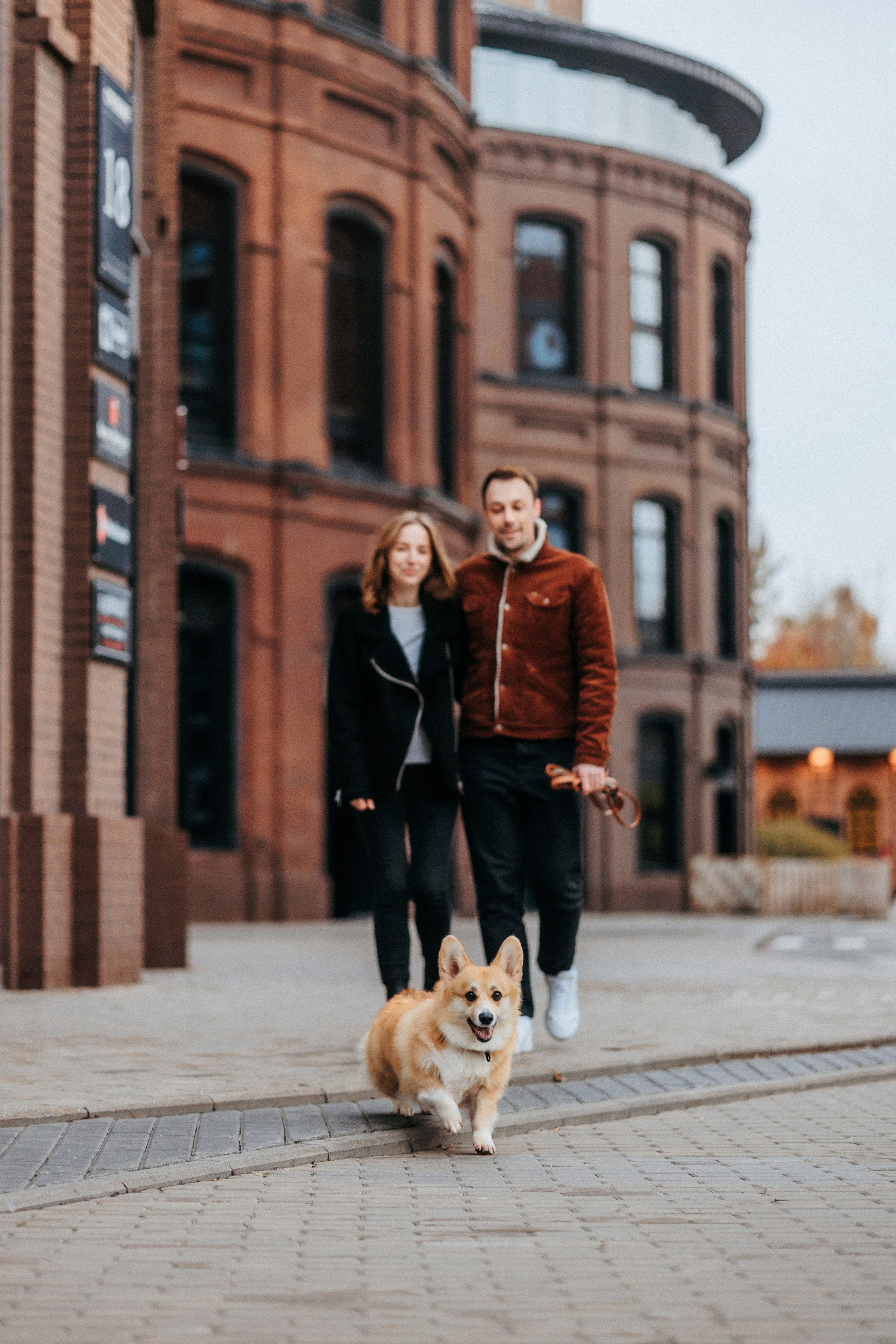 Вера, Саша и Муна. Фотограф-анималист Елена Радченко, Москва