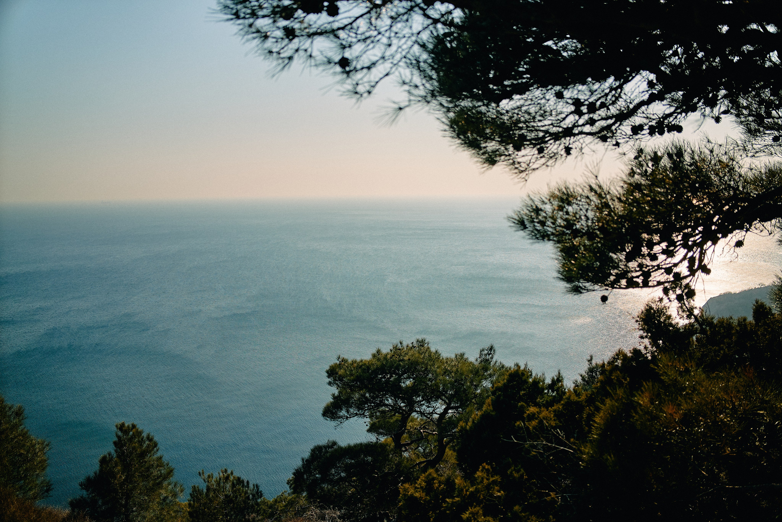 Юг России. Профессиональный Фотограф во Владимире, в Москве и в Суздале — Полина Романычева