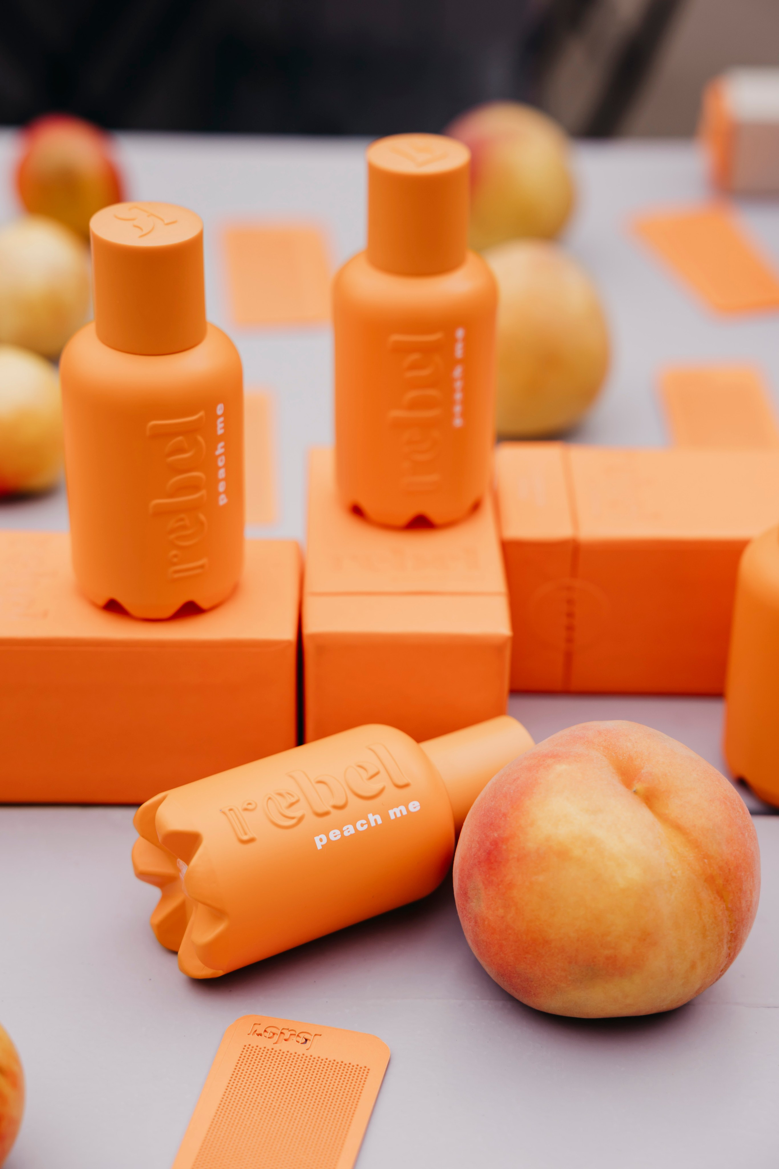 «Rebel» by «Molecule». «Птичка на проводе»: информационный портал в Москве