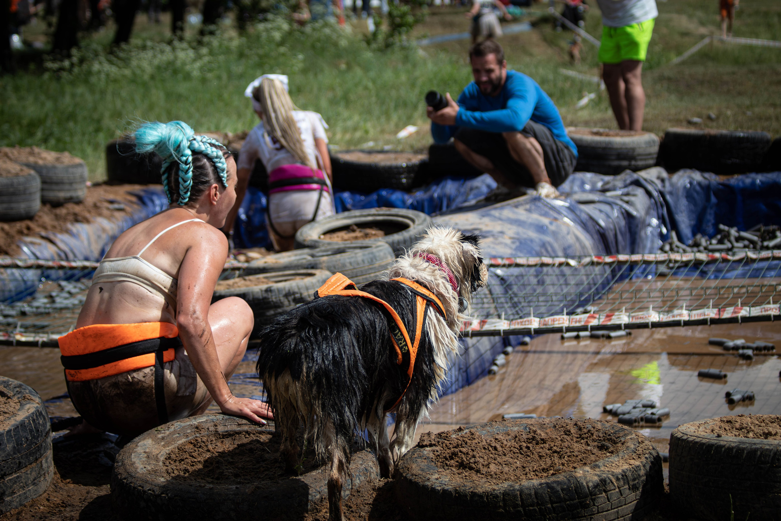 Хвостатый Драйв 2024. Фотограф анималист — Тула, Москва