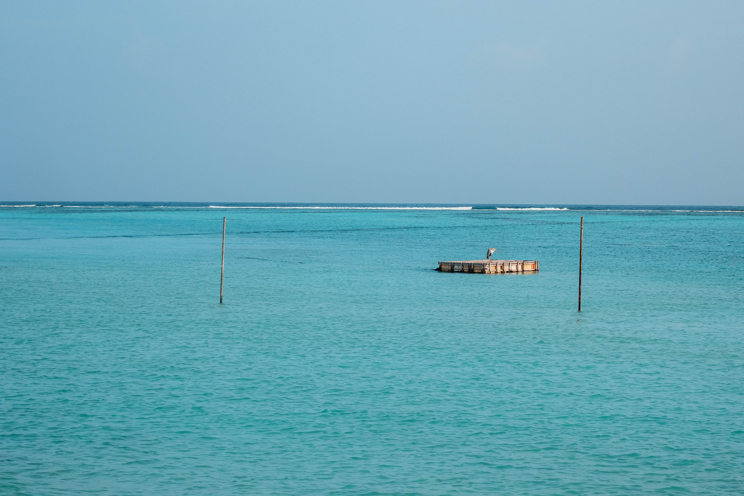 О.Тулусду. Мальдивы. Фотограф Светлана Голицына