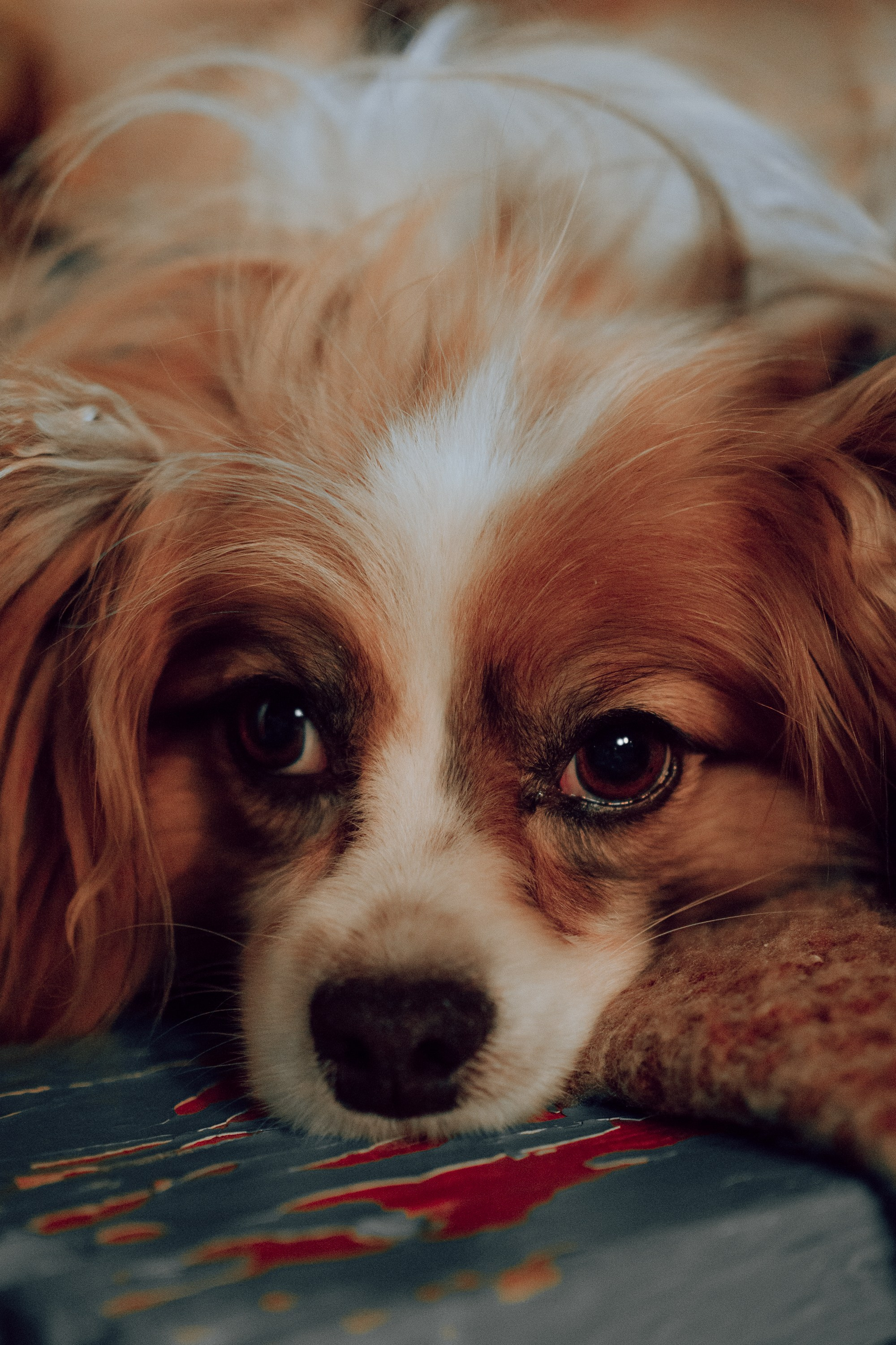 Калейдоскоп