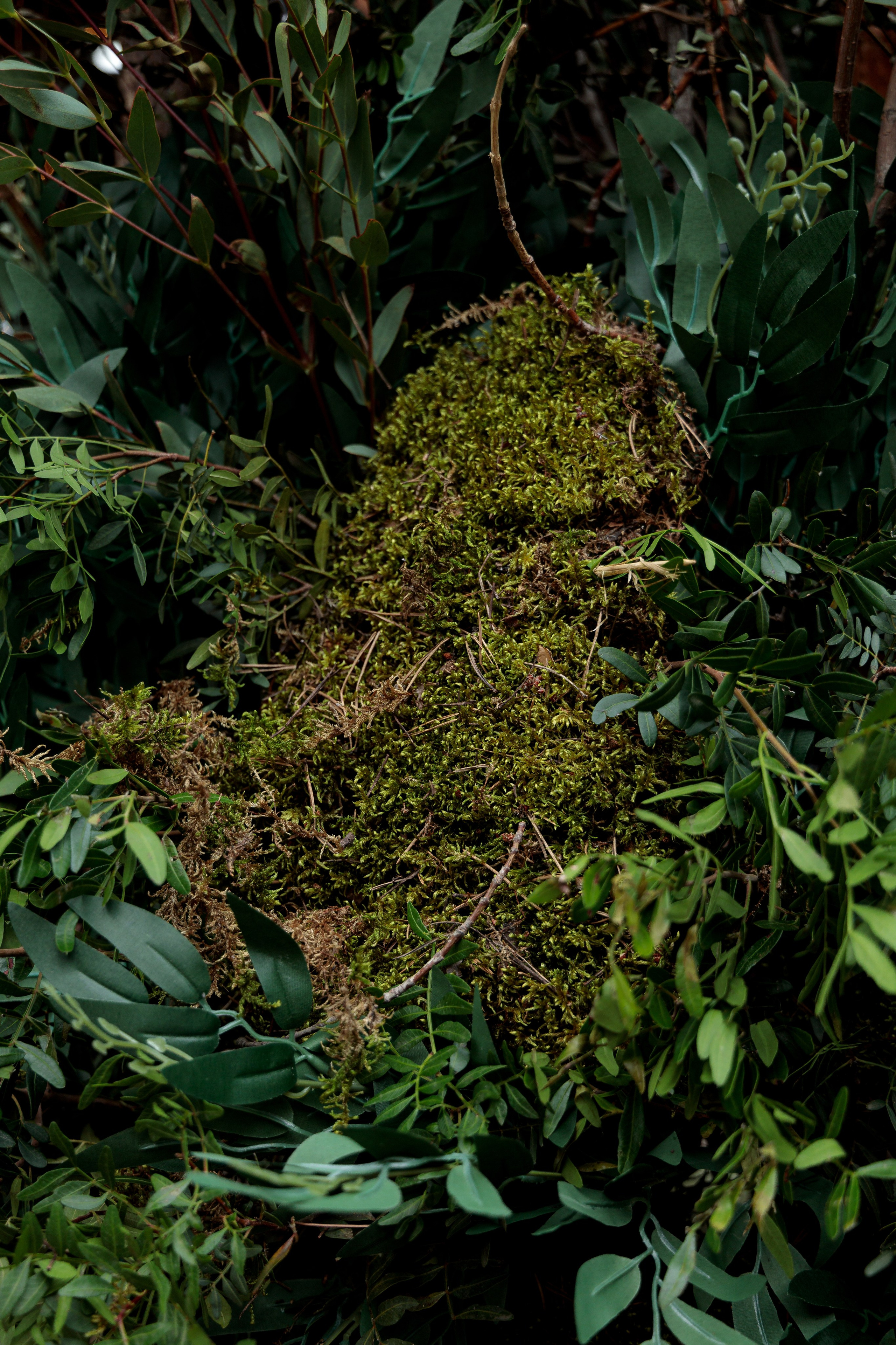 Denis & Lisa. Свадебный и семейный фотограф в Самаре