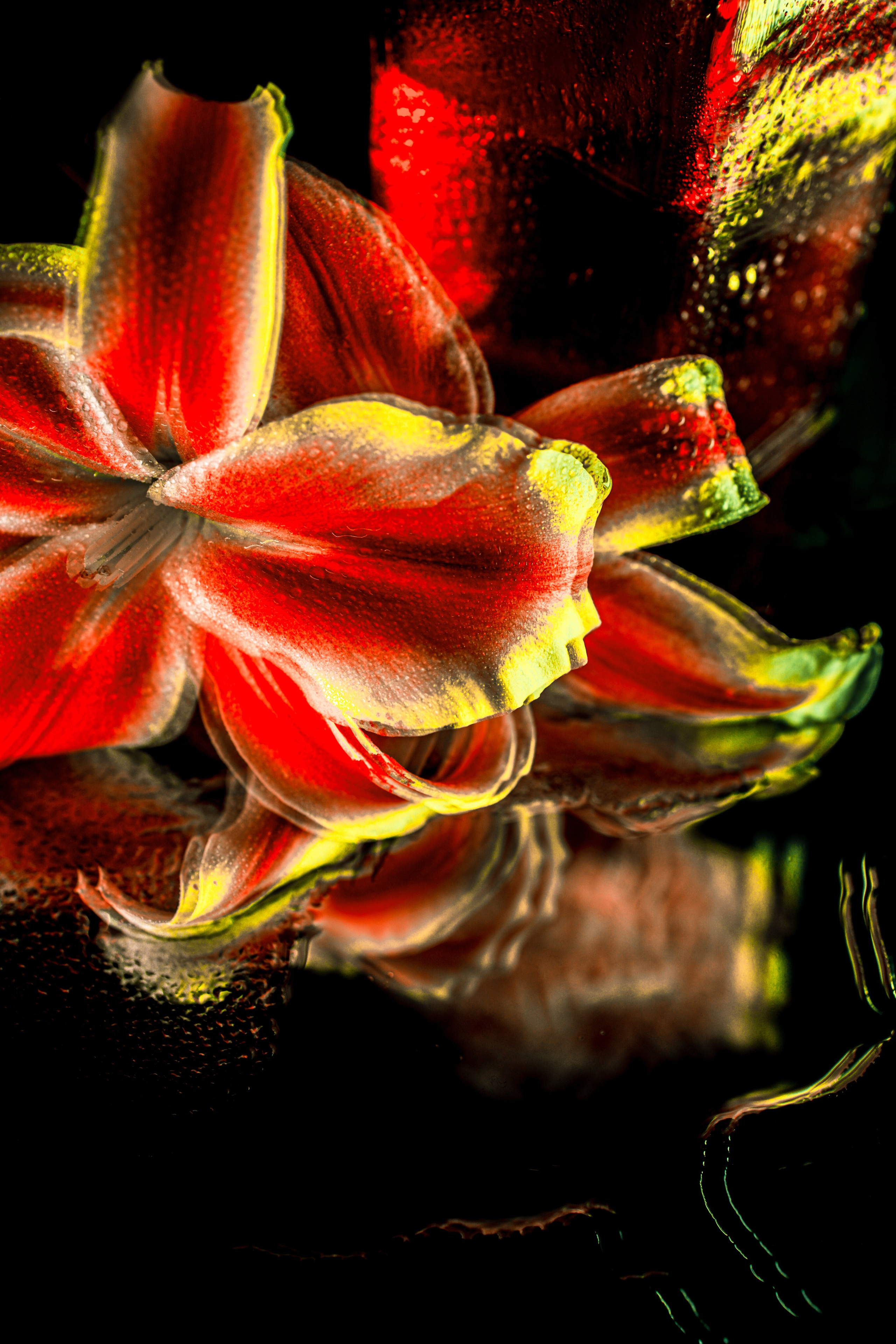 Природа &. Фотохудожник в СПб