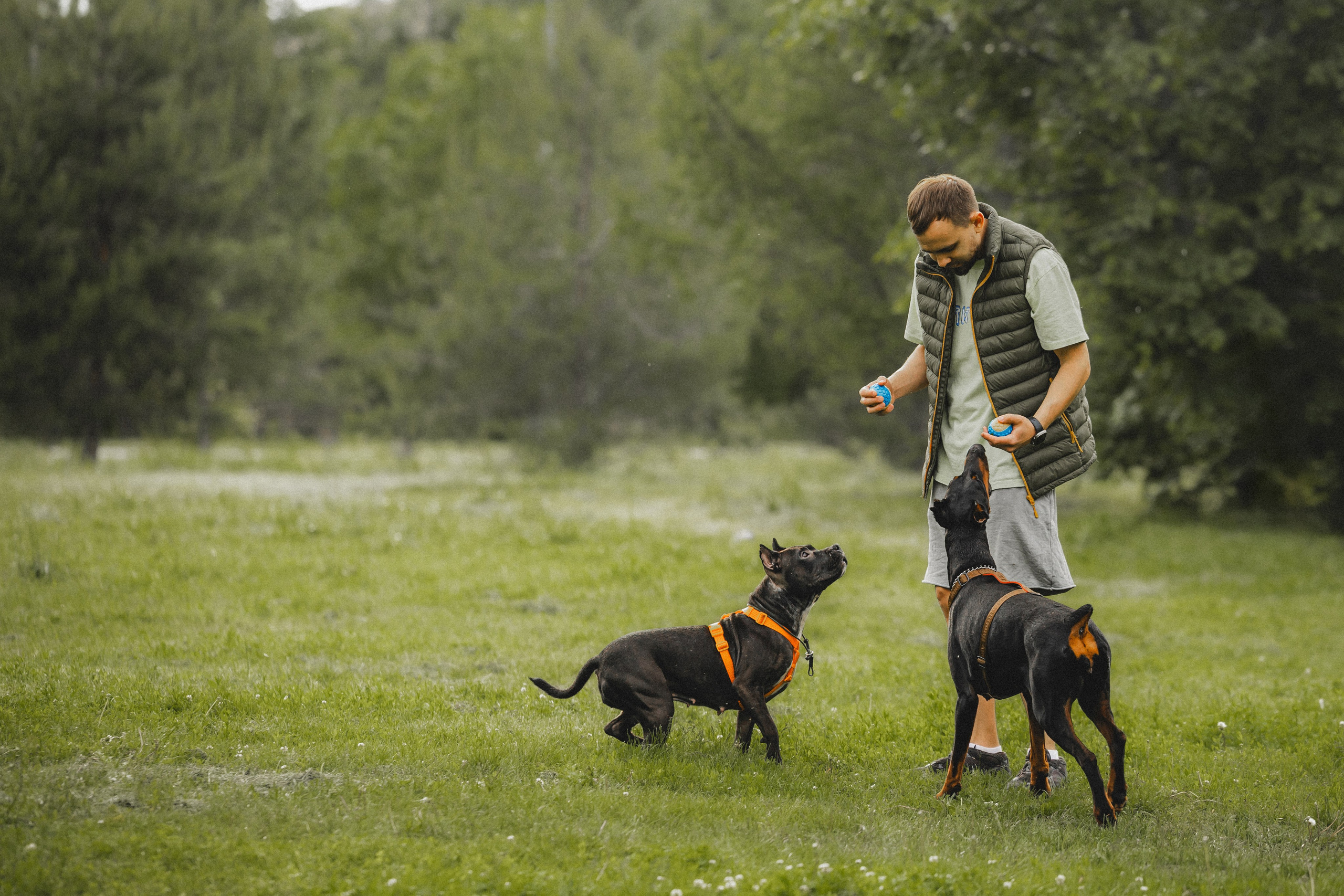 Паша, Хайди и Тея