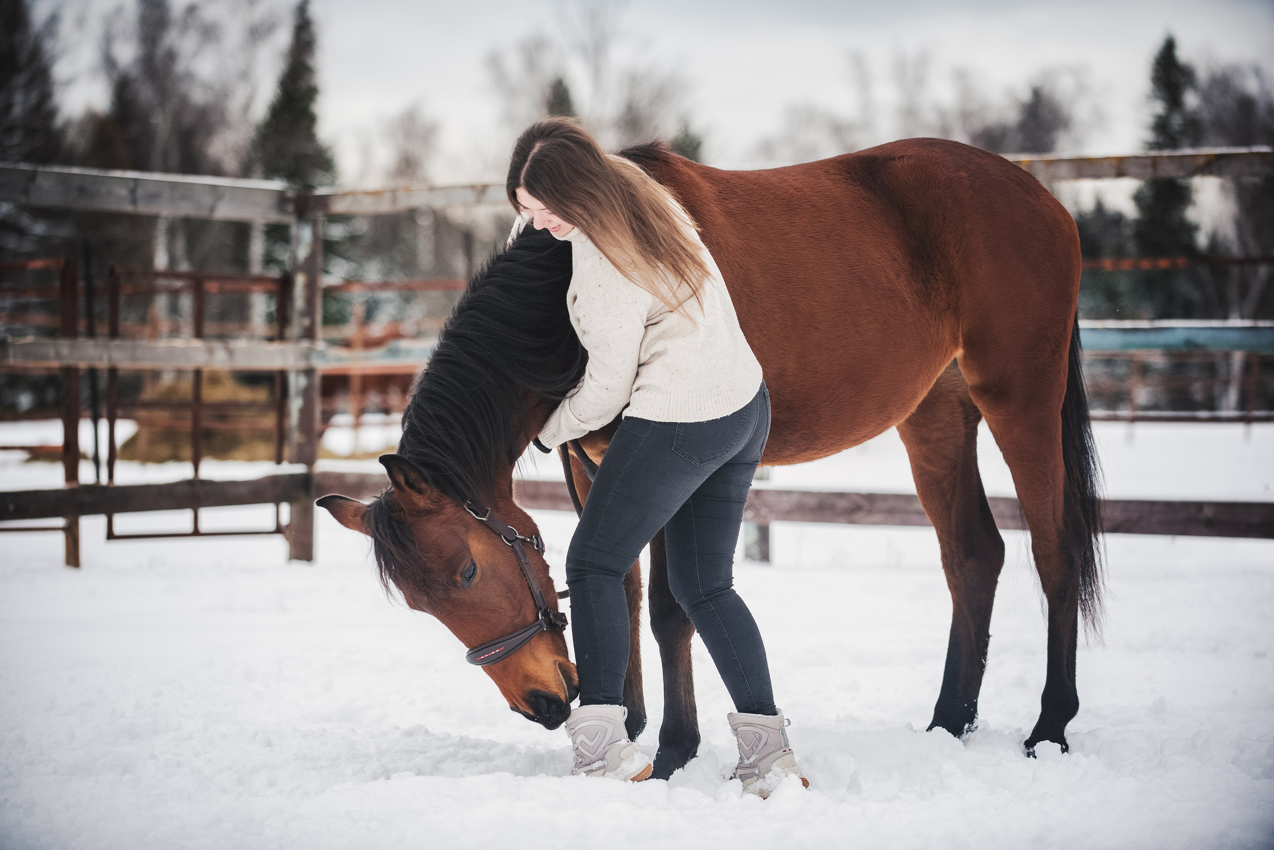 Дестини. Куракина Дарья • Конный фотограф