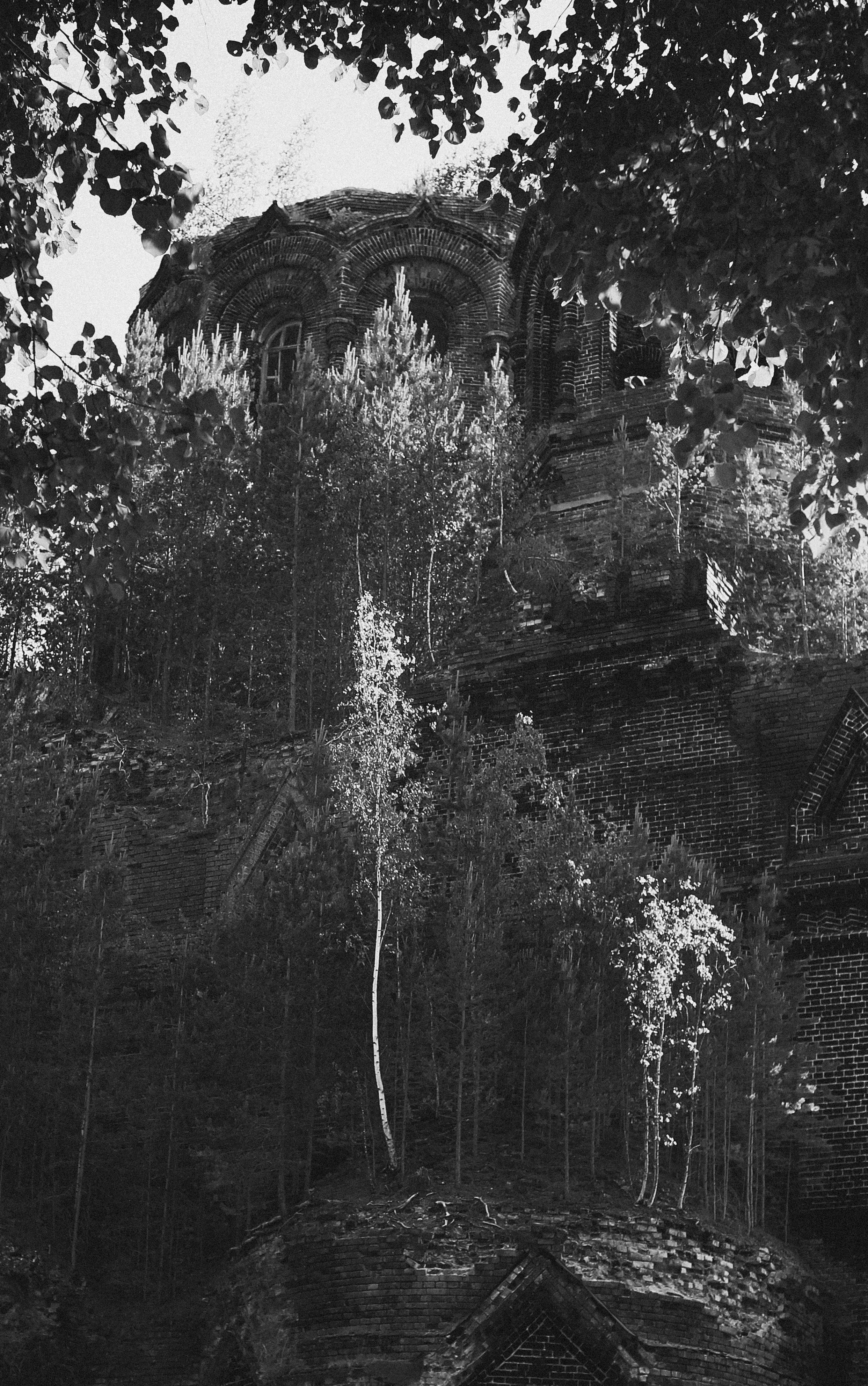 Кимрские исторические тракты: Ильинское кольцо 2026. Профессиональный фотограф, фотохудожник, видеограф из Москвы