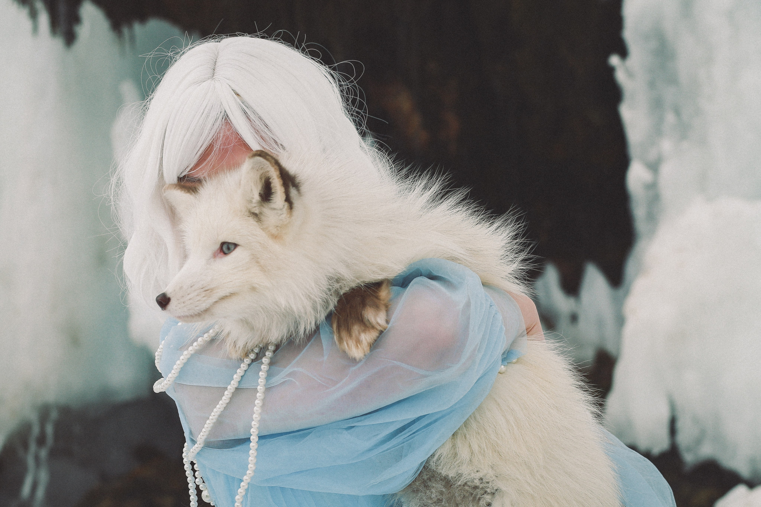 Фотосессия с лисой!. Иванова Ирина Свадебный и семейный фотограф г. Уфа