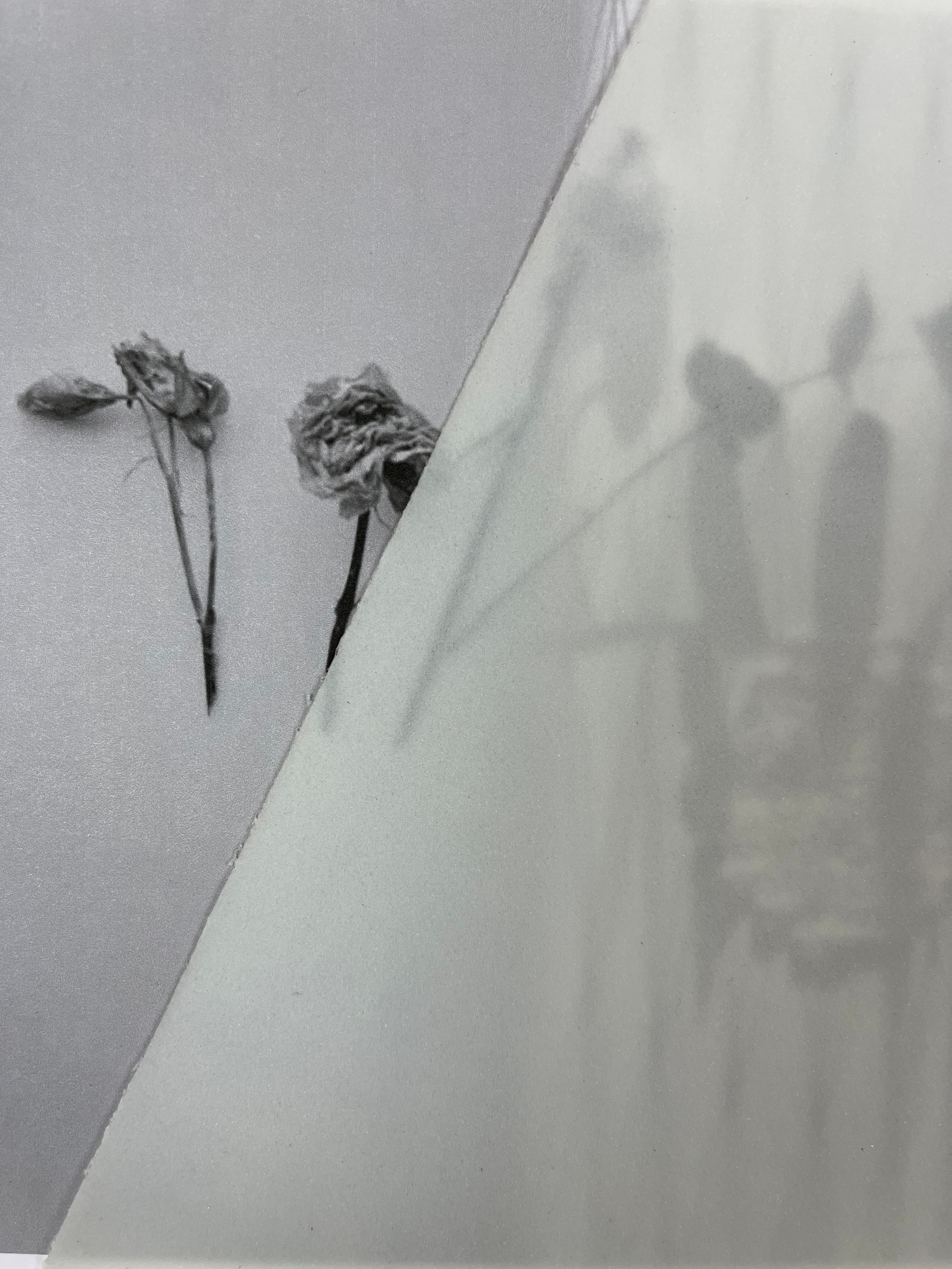 Предметная съемка. Art direction & Design | Curiosa